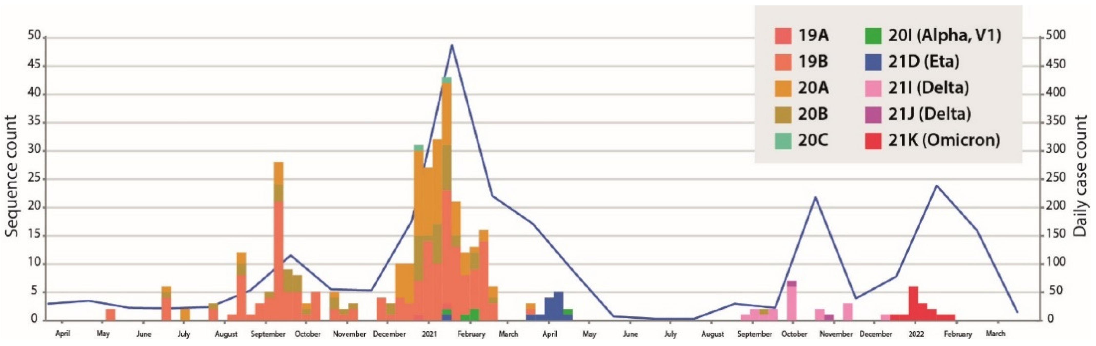 Viruses 14 02788 g001