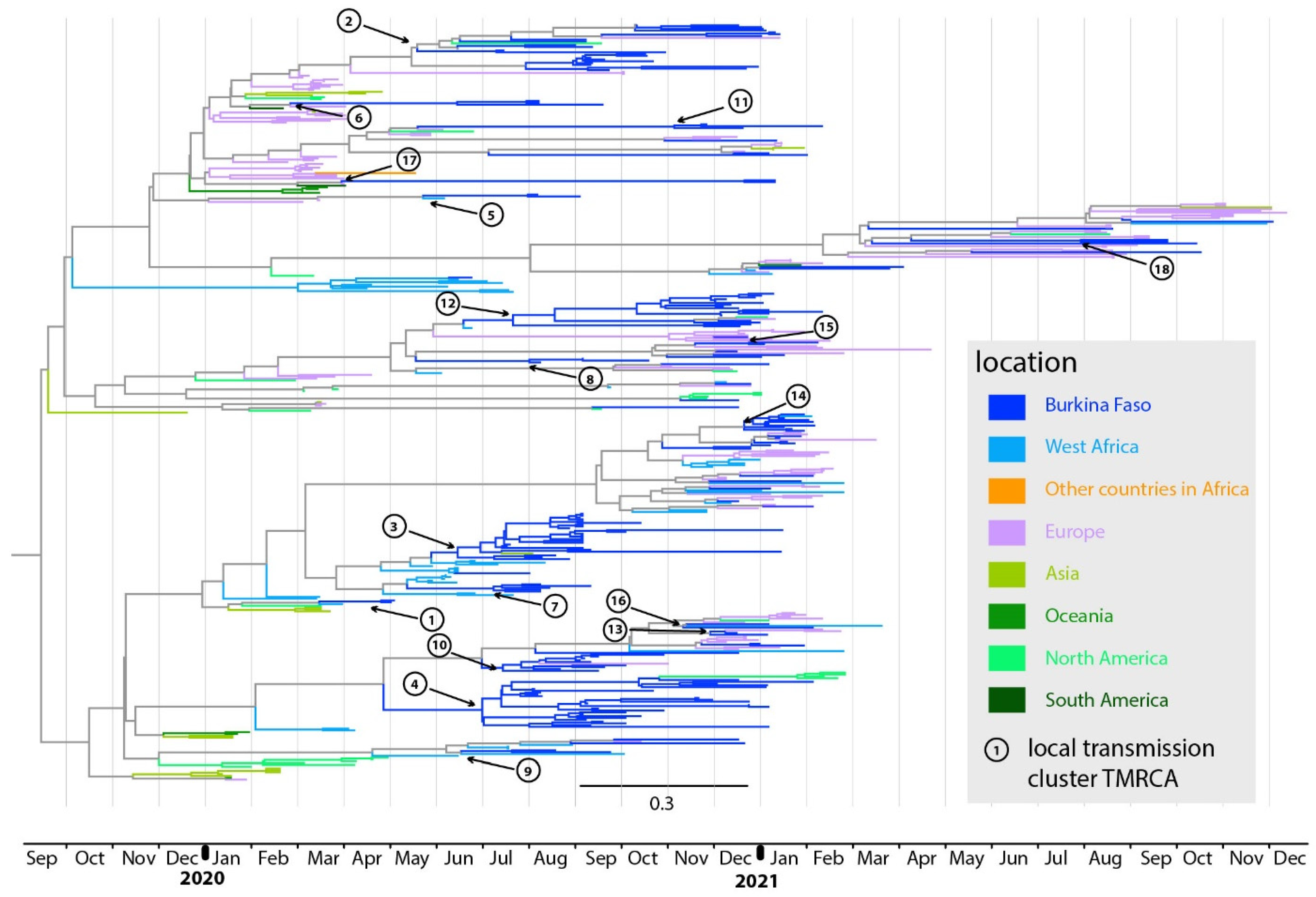 Viruses 14 02788 g002