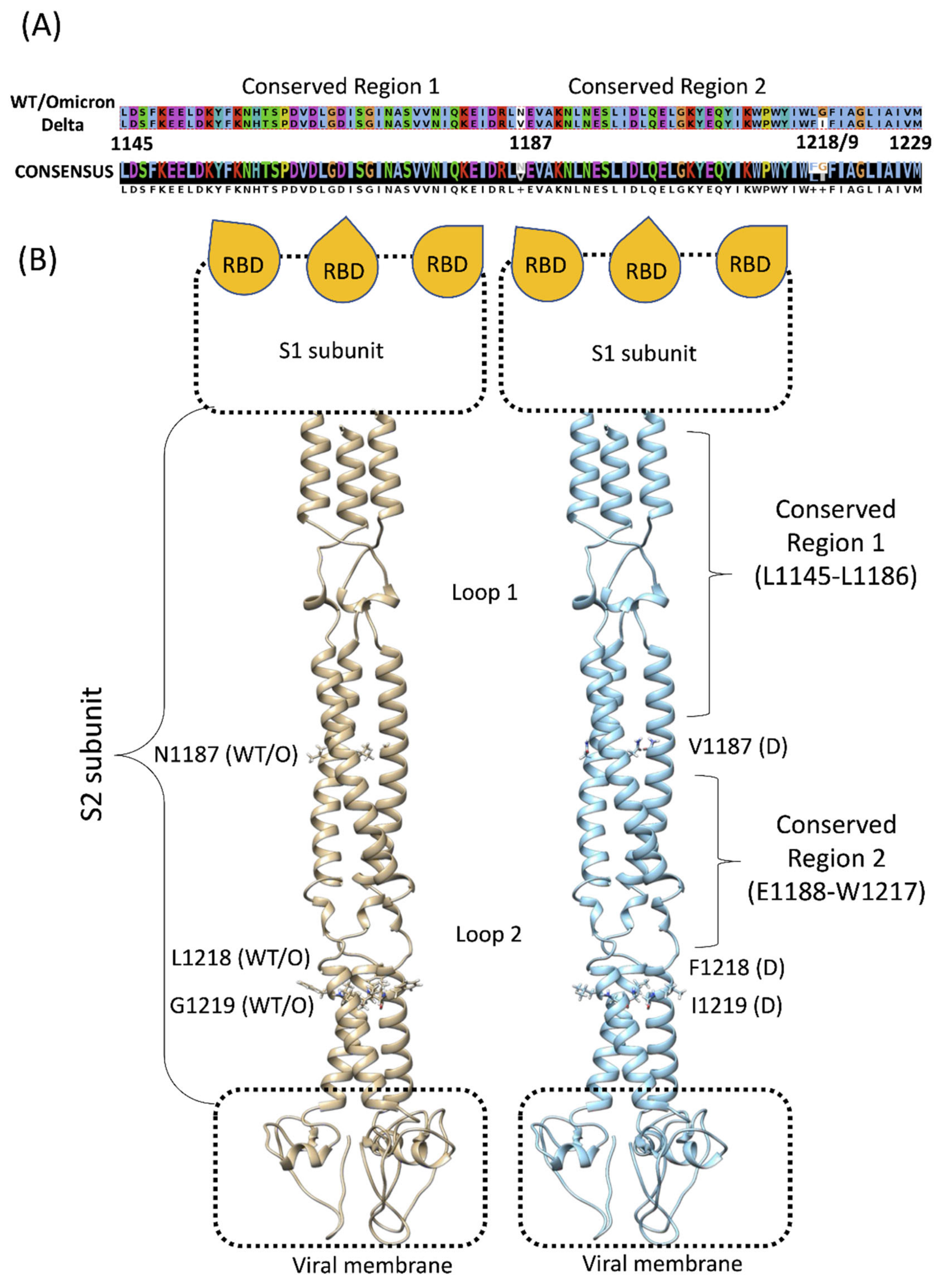 Viruses 14 02789 g001 Viruses 14 02789 g001