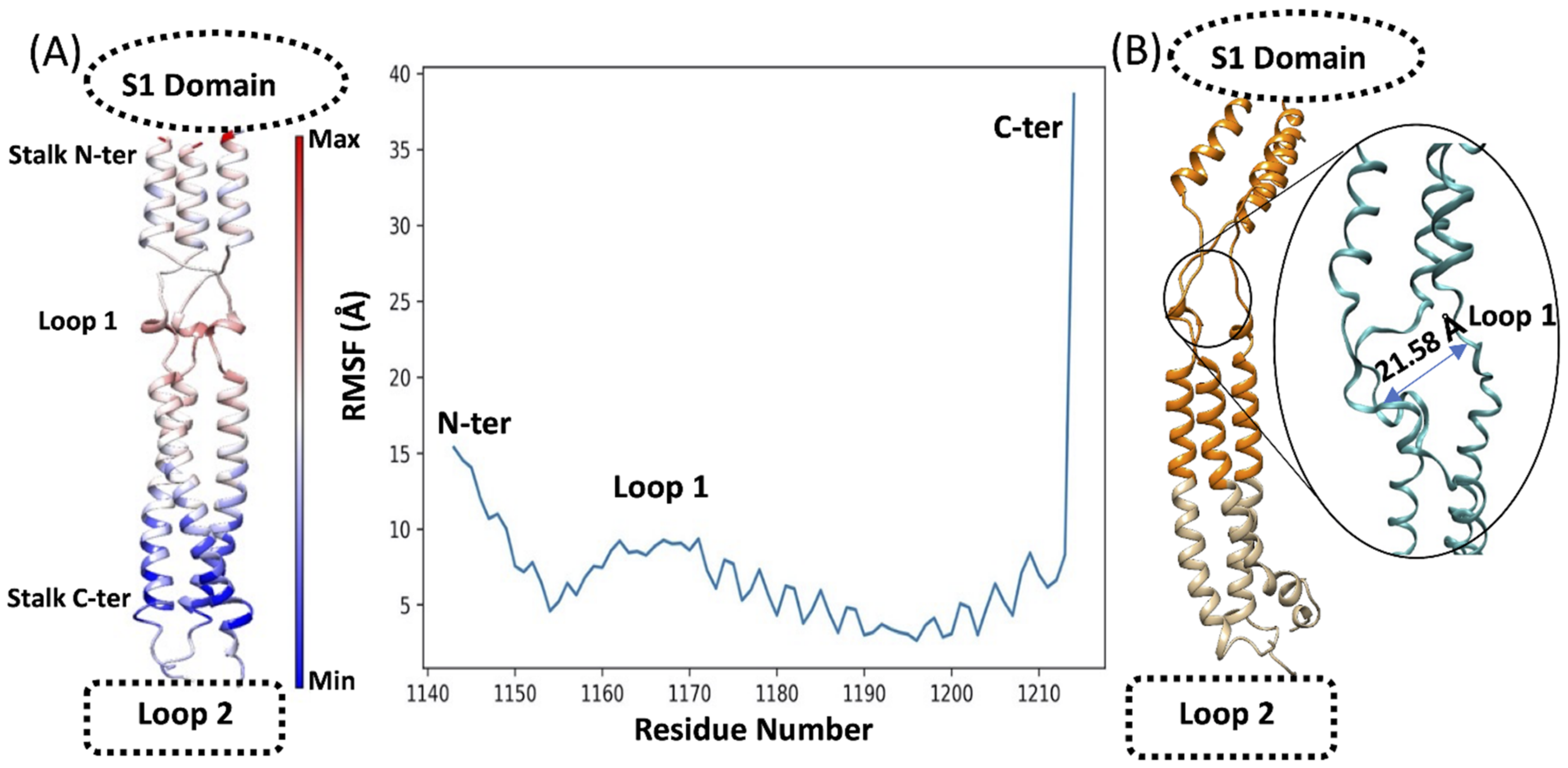 Viruses 14 02789 g003 Viruses 14 02789 g003