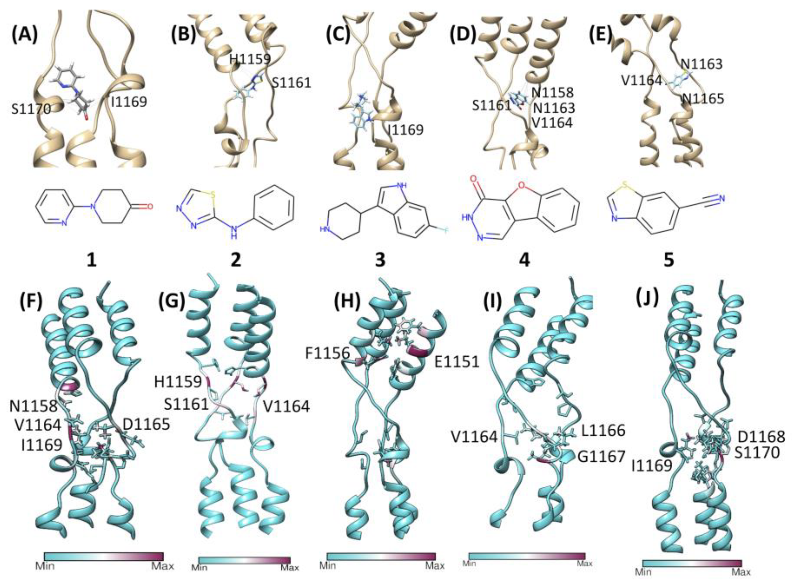 Viruses 14 02789 g004 Viruses 14 02789 g004