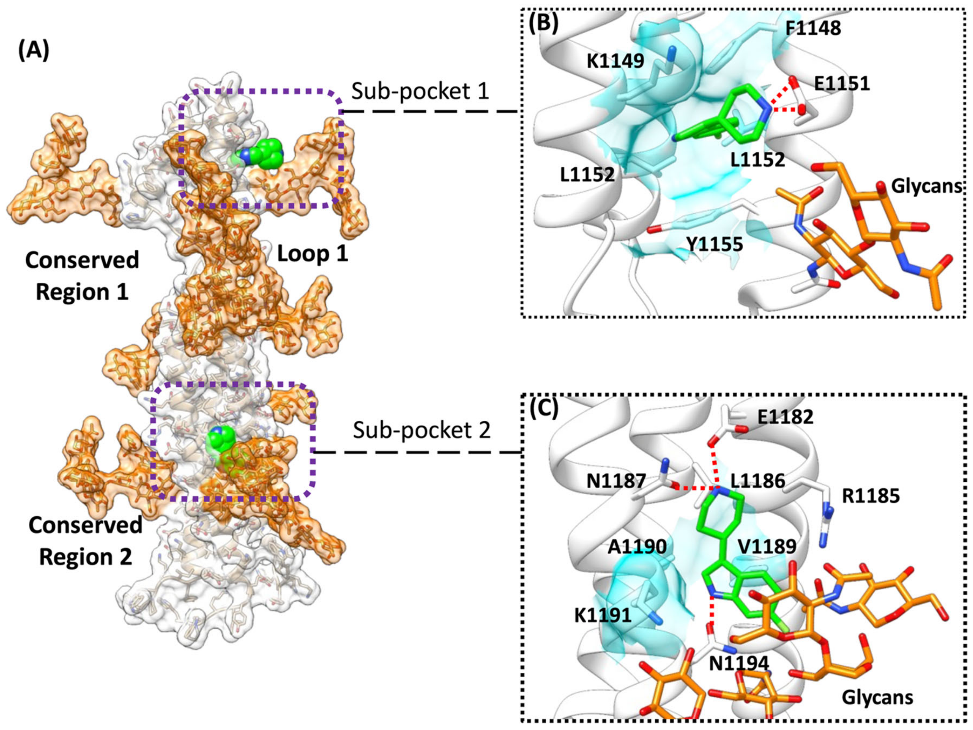 Viruses 14 02789 g005 Viruses 14 02789 g005