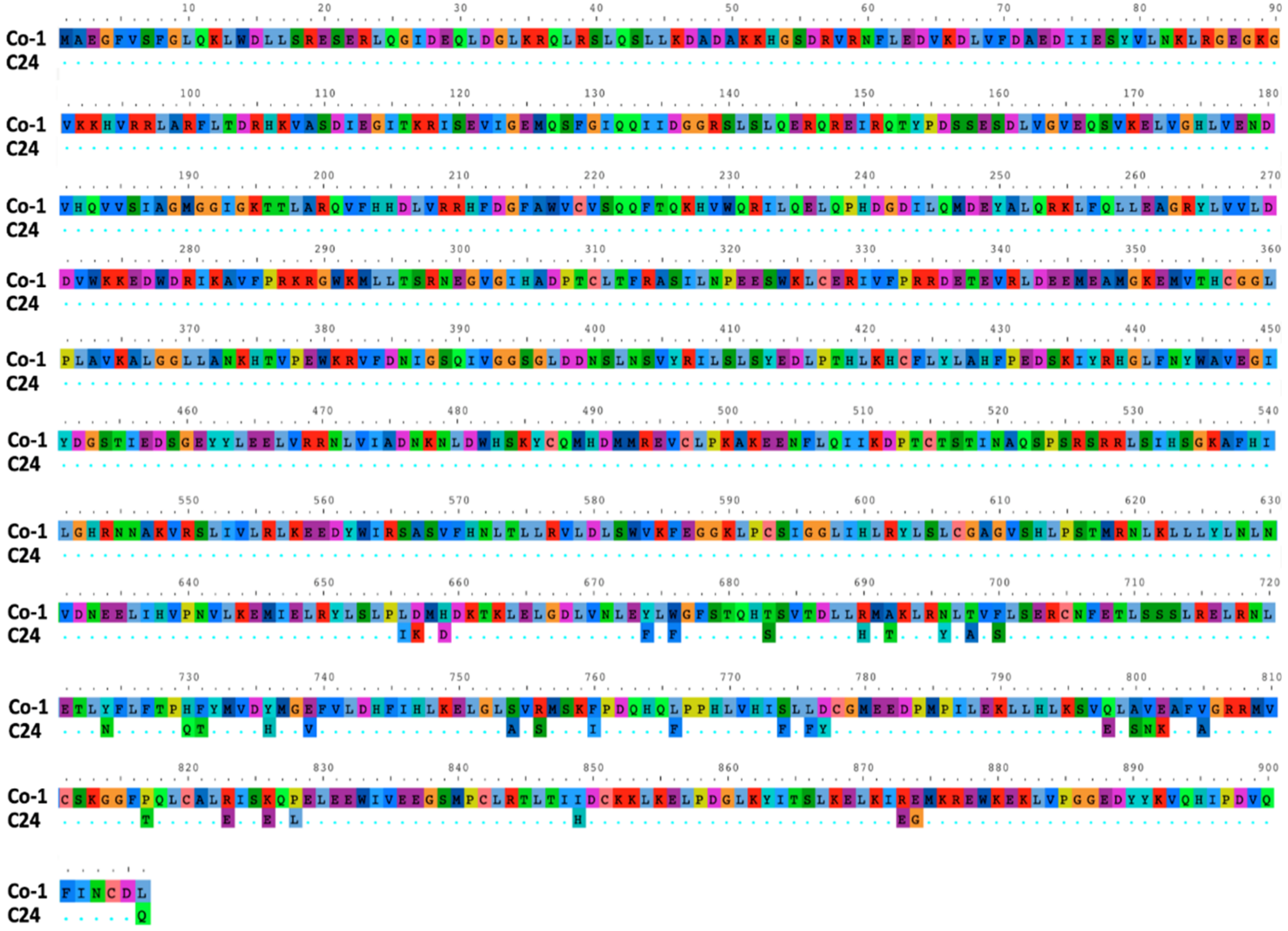 Viruses 14 02790 g007 Viruses 14 02790 g007