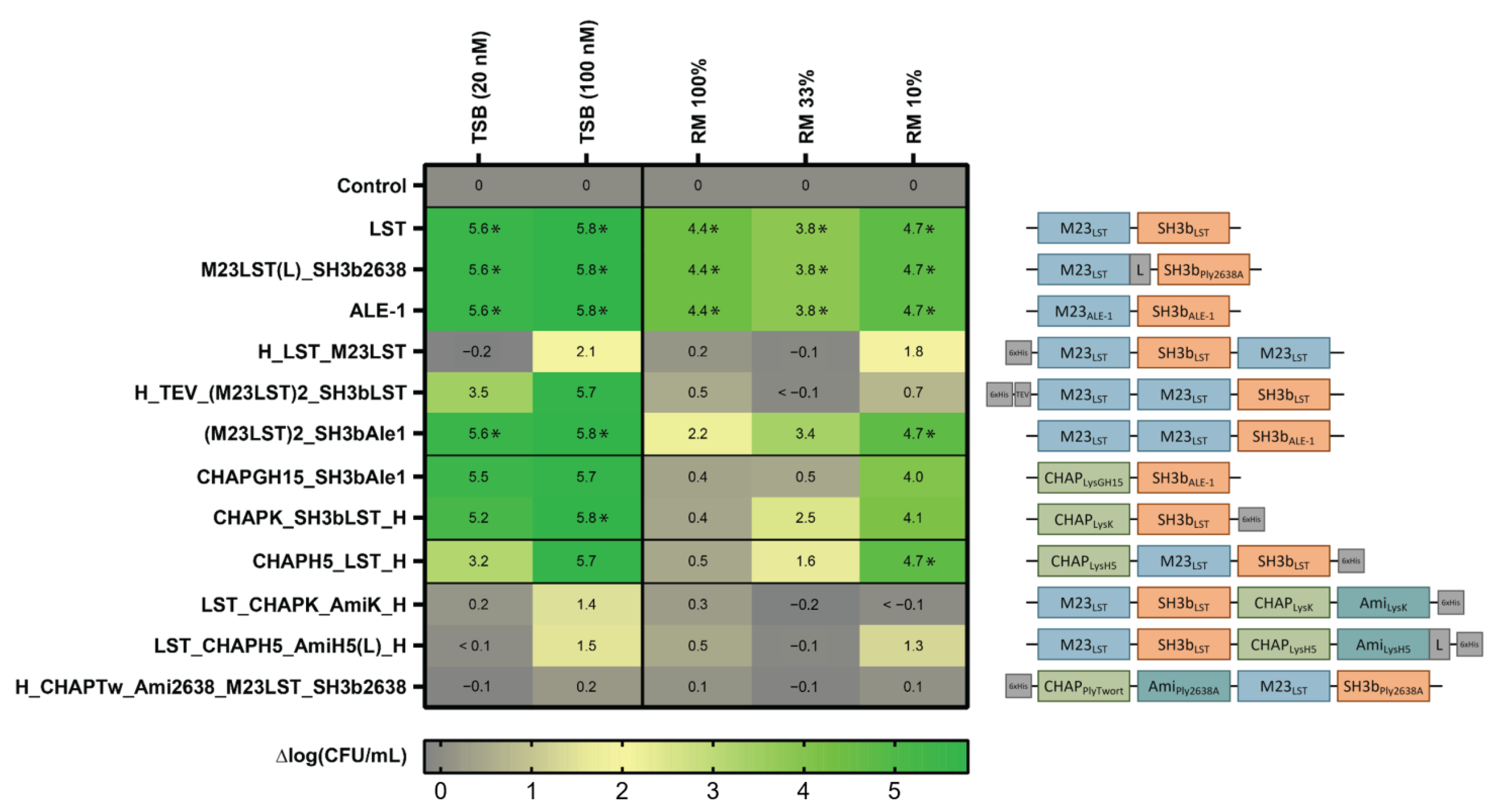 Viruses 14 02801 g001