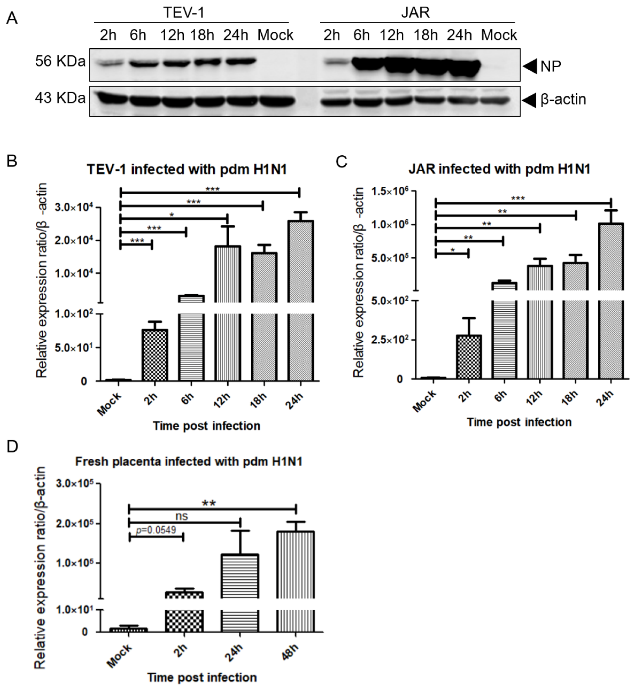 Viruses 14 02807 g006