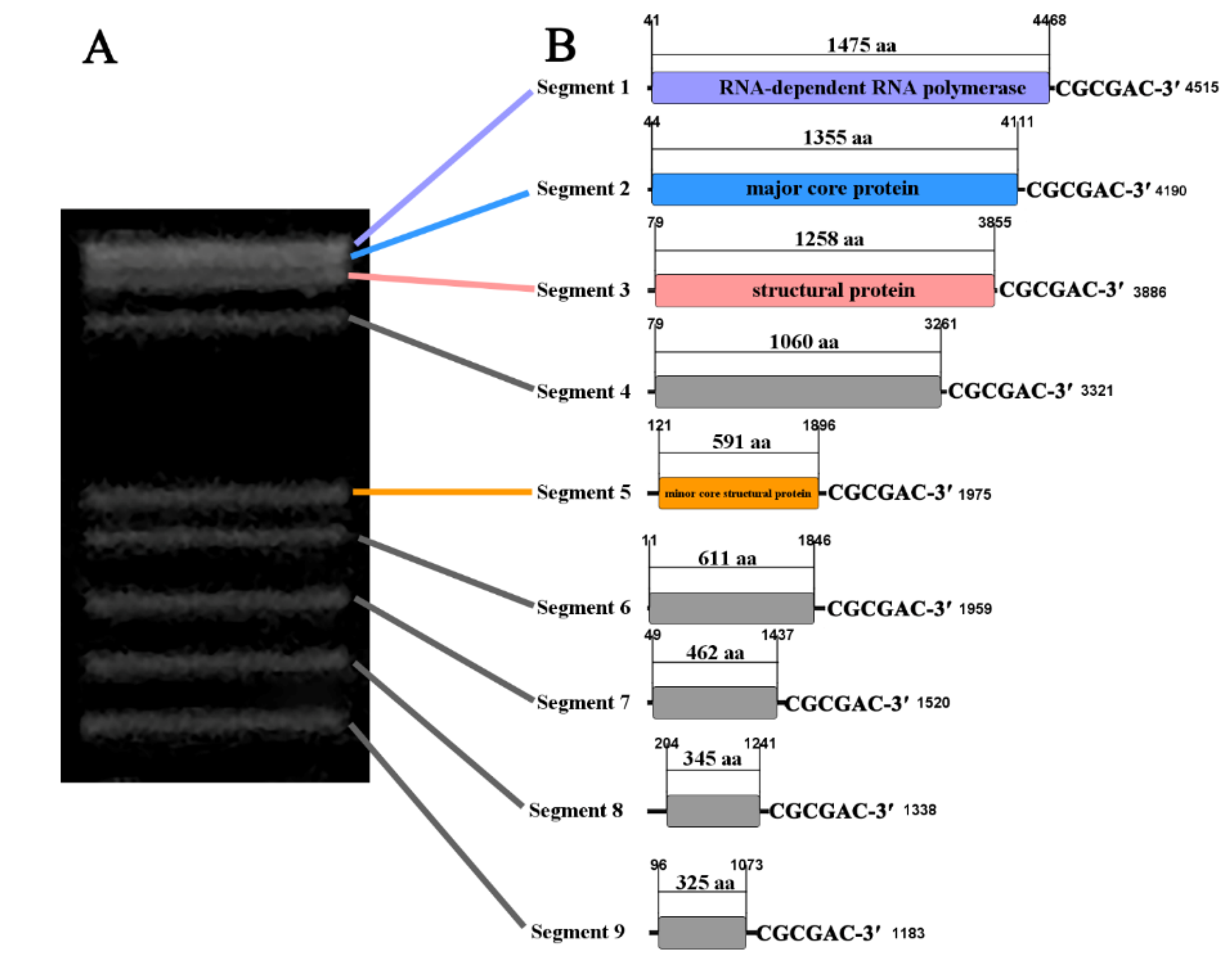Viruses 14 02810 g003