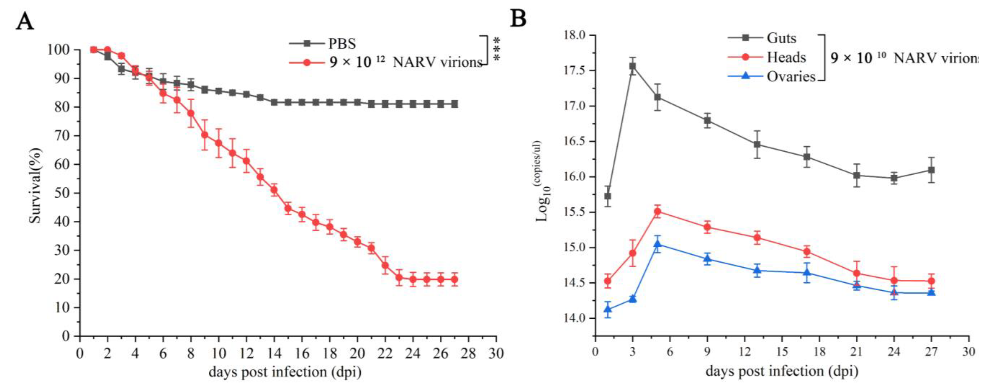 Viruses 14 02810 g004