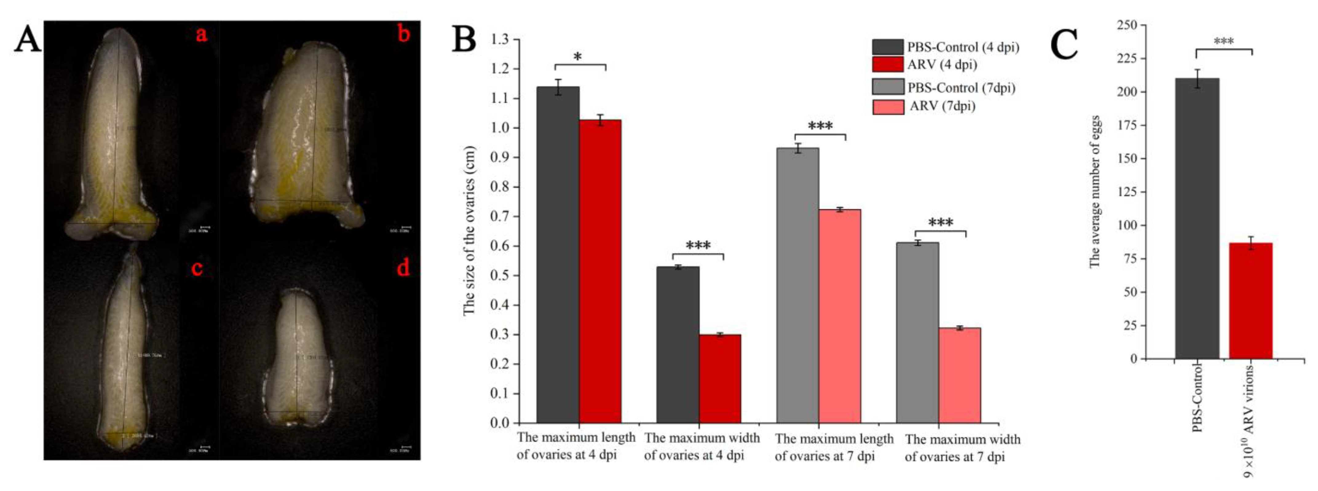 Viruses 14 02810 g005