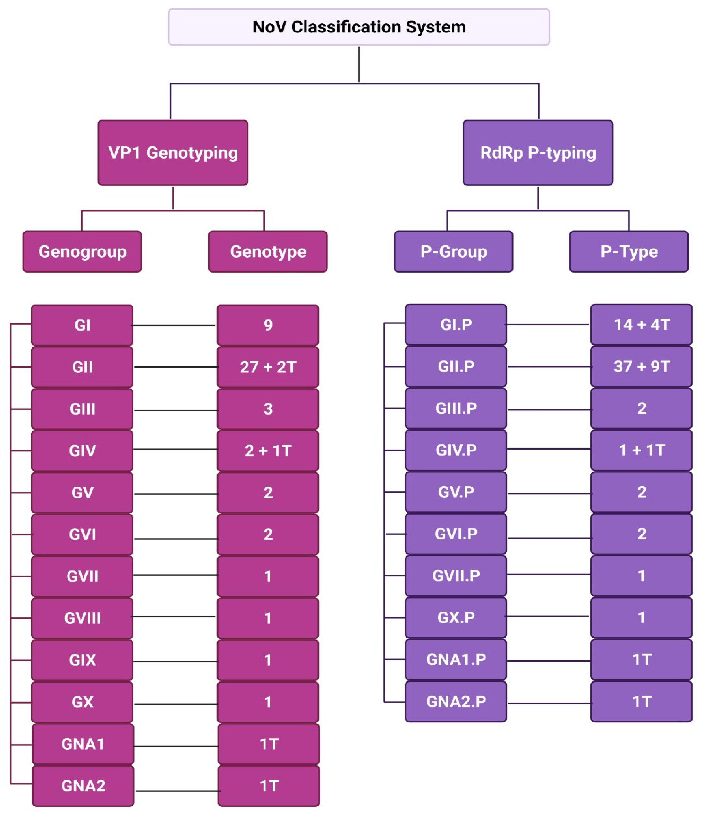 Viruses 14 02811 g008