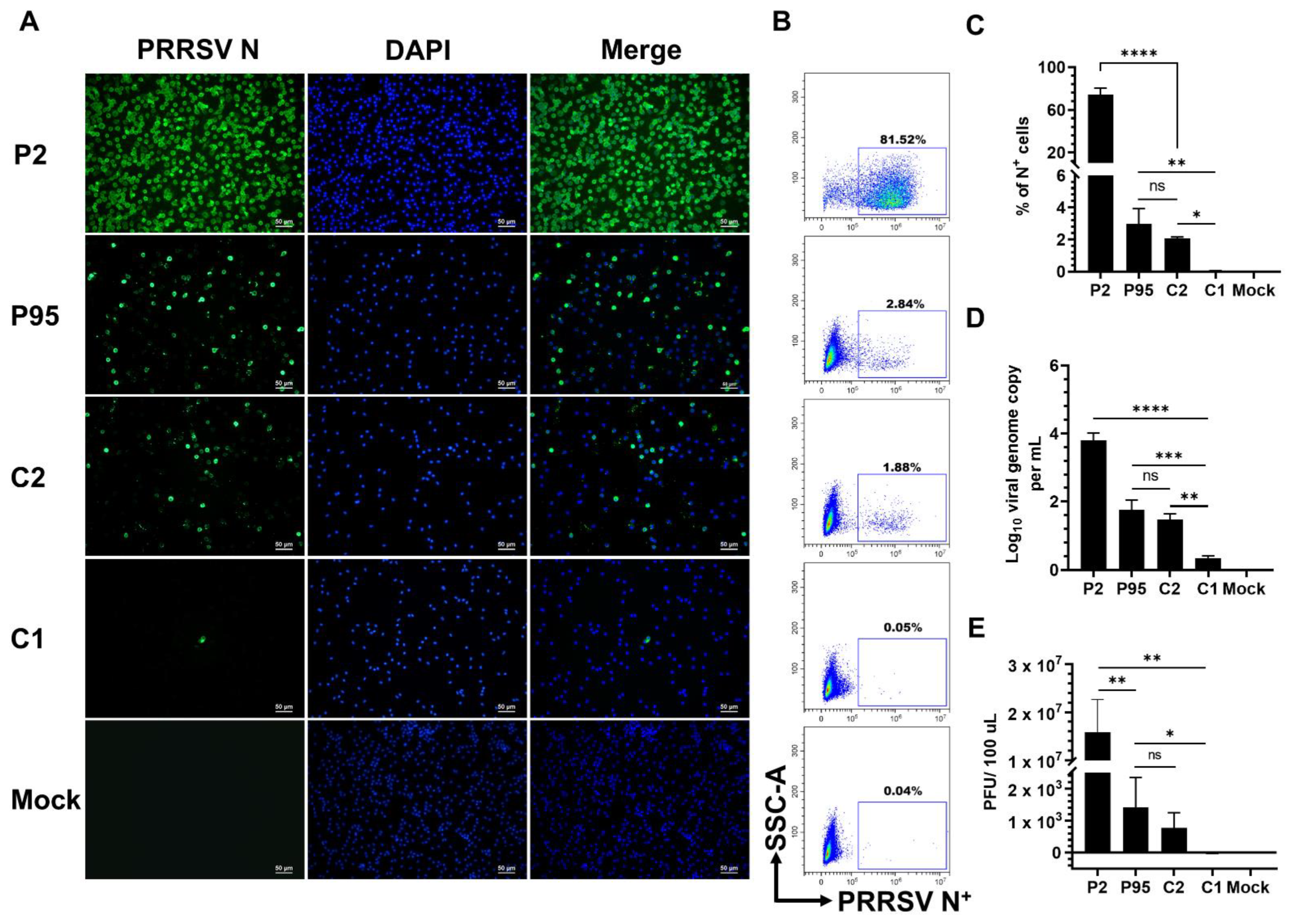 Viruses 14 02822 g001