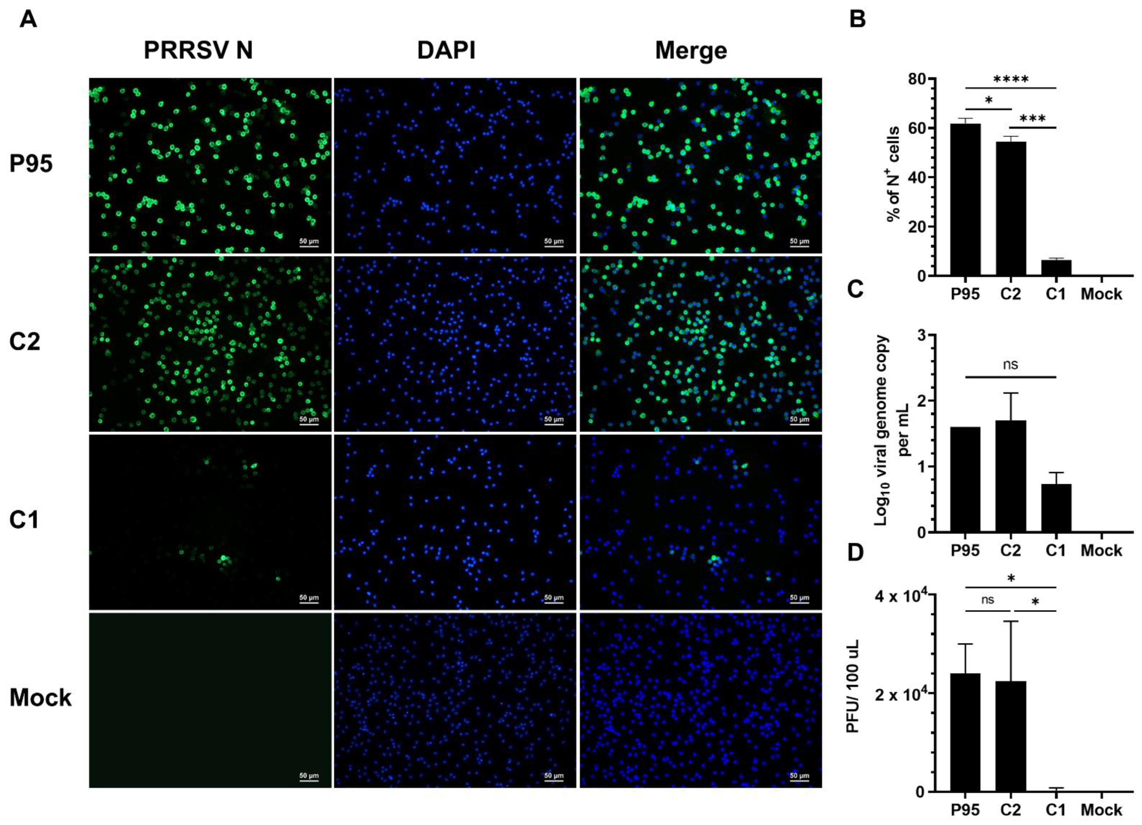 Viruses 14 02822 g002