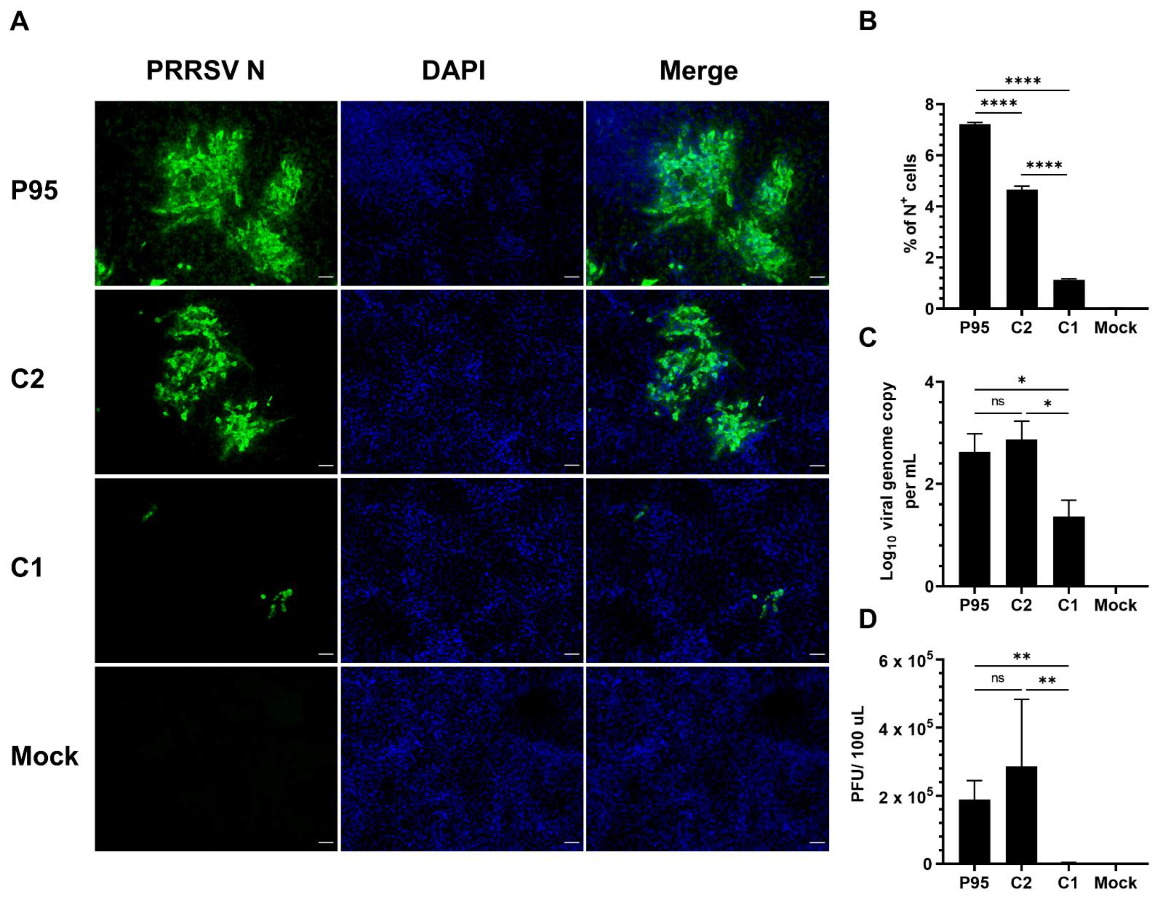 Viruses 14 02822 g003