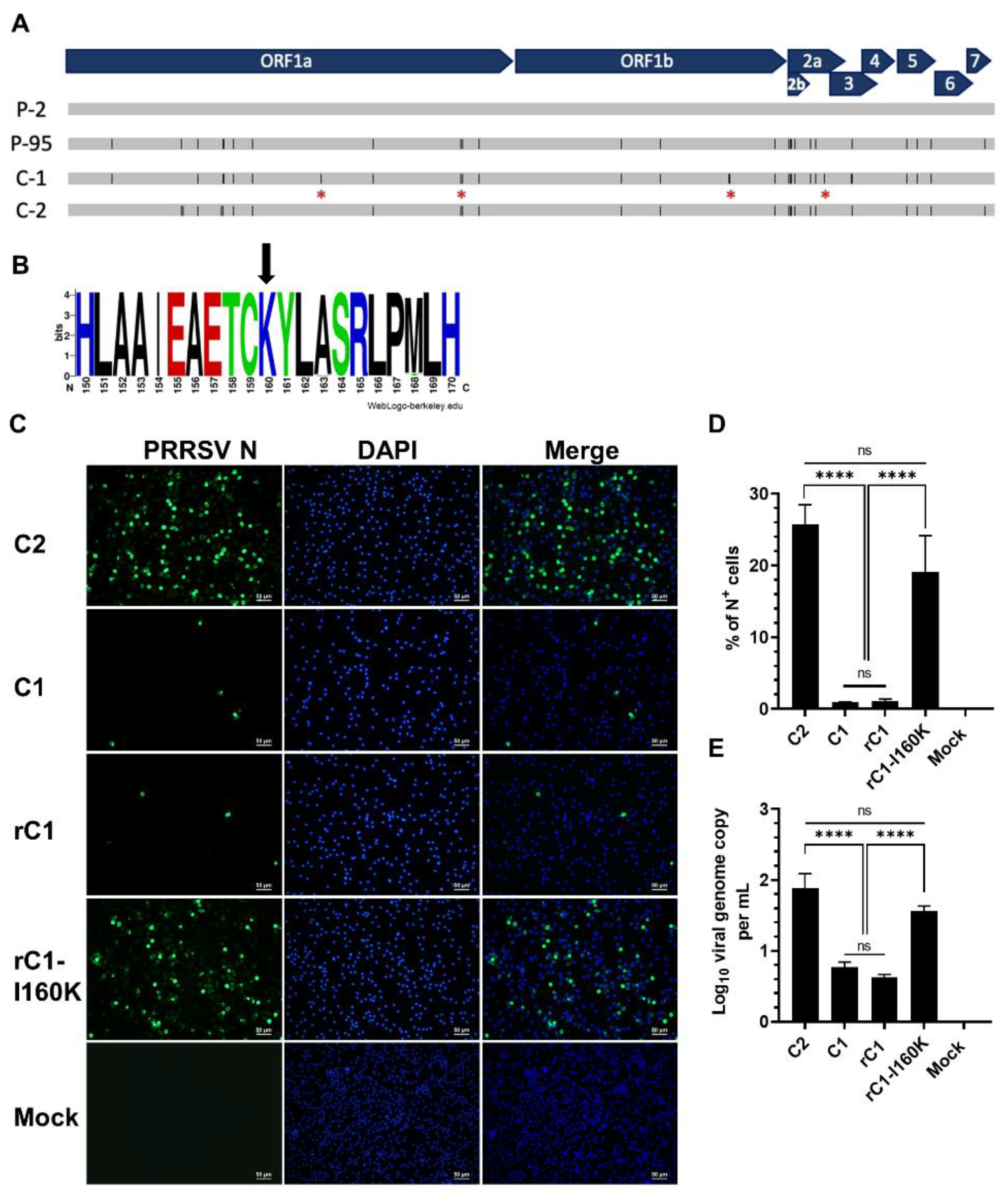 Viruses 14 02822 g004