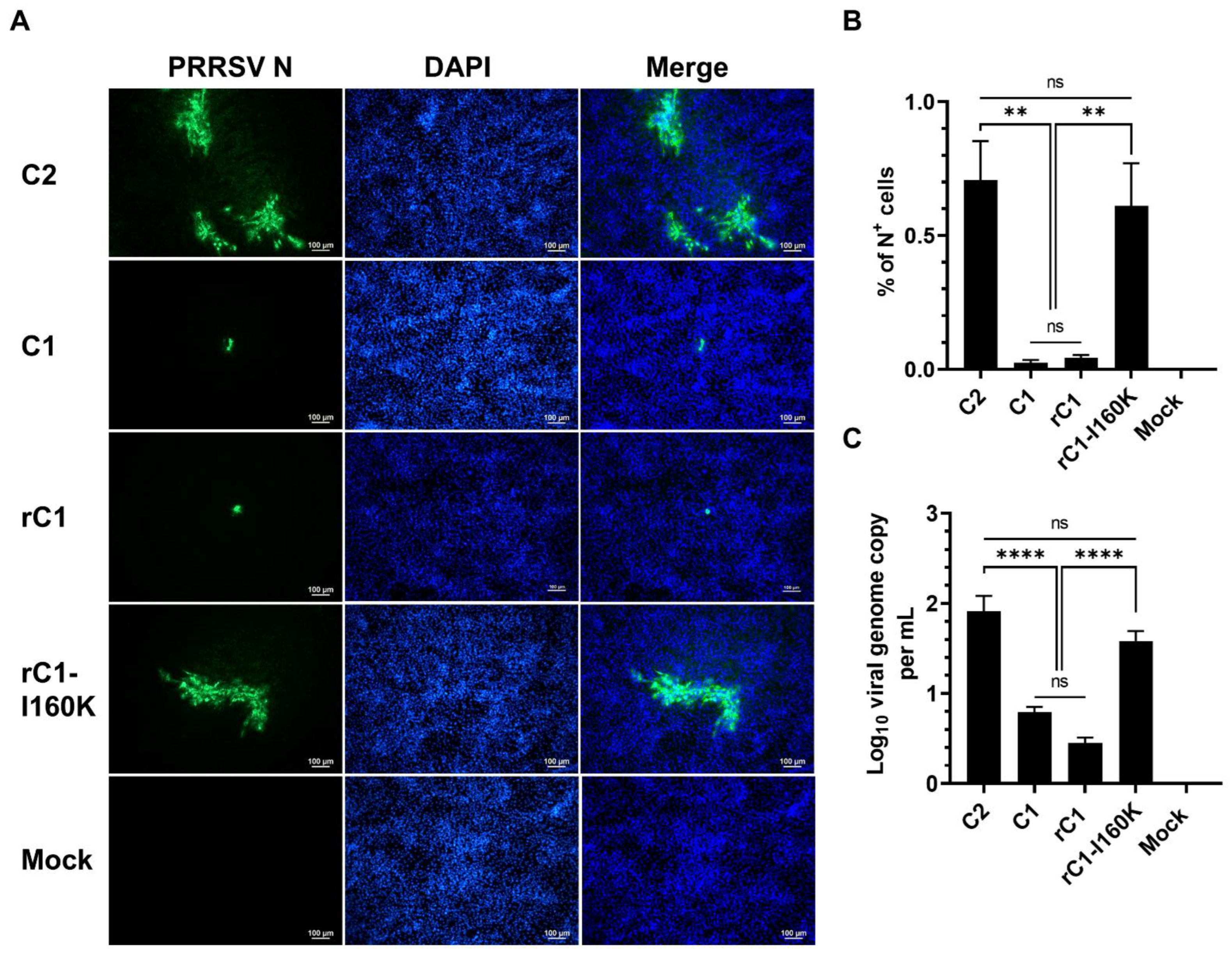 Viruses 14 02822 g005