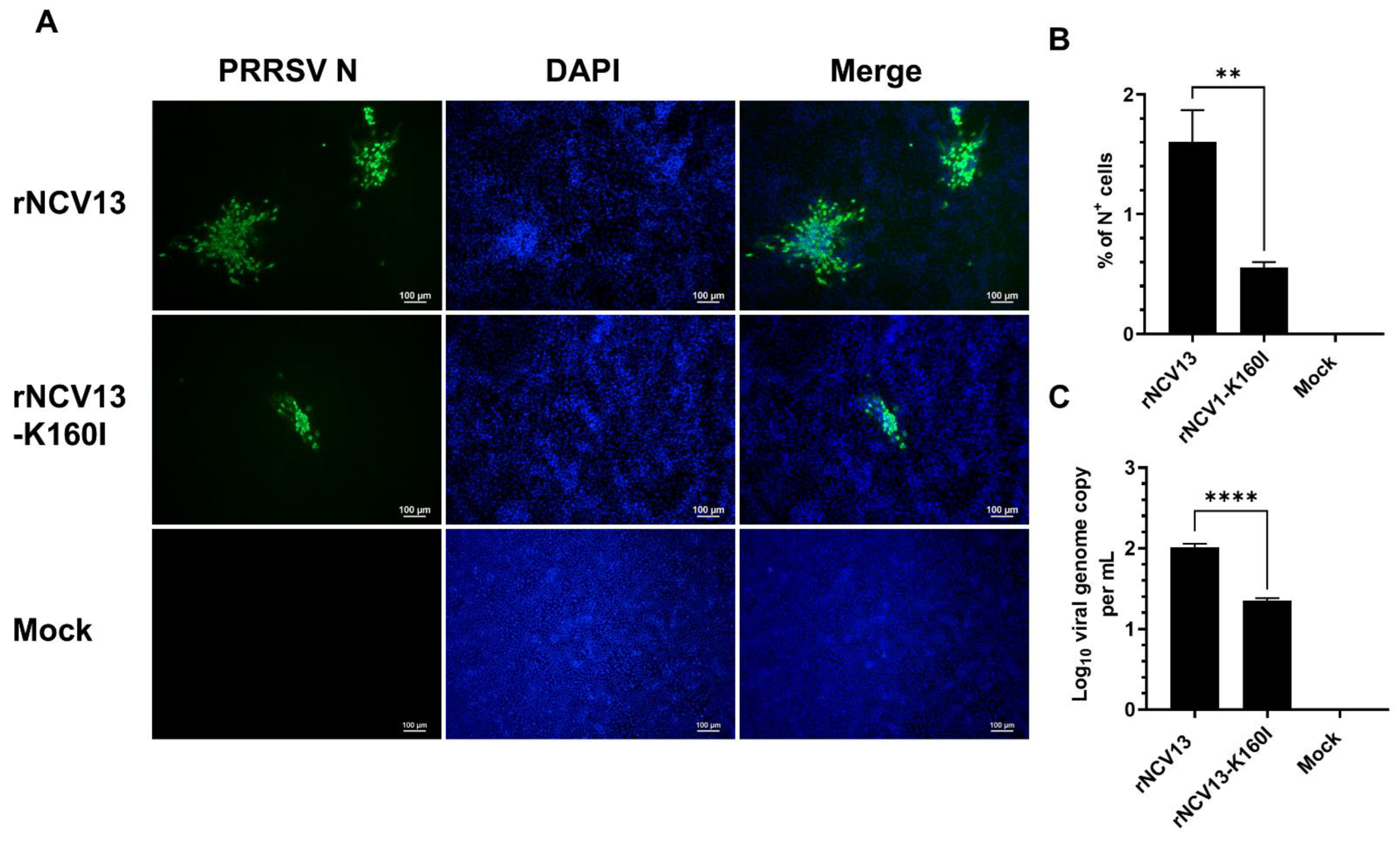 Viruses 14 02822 g009