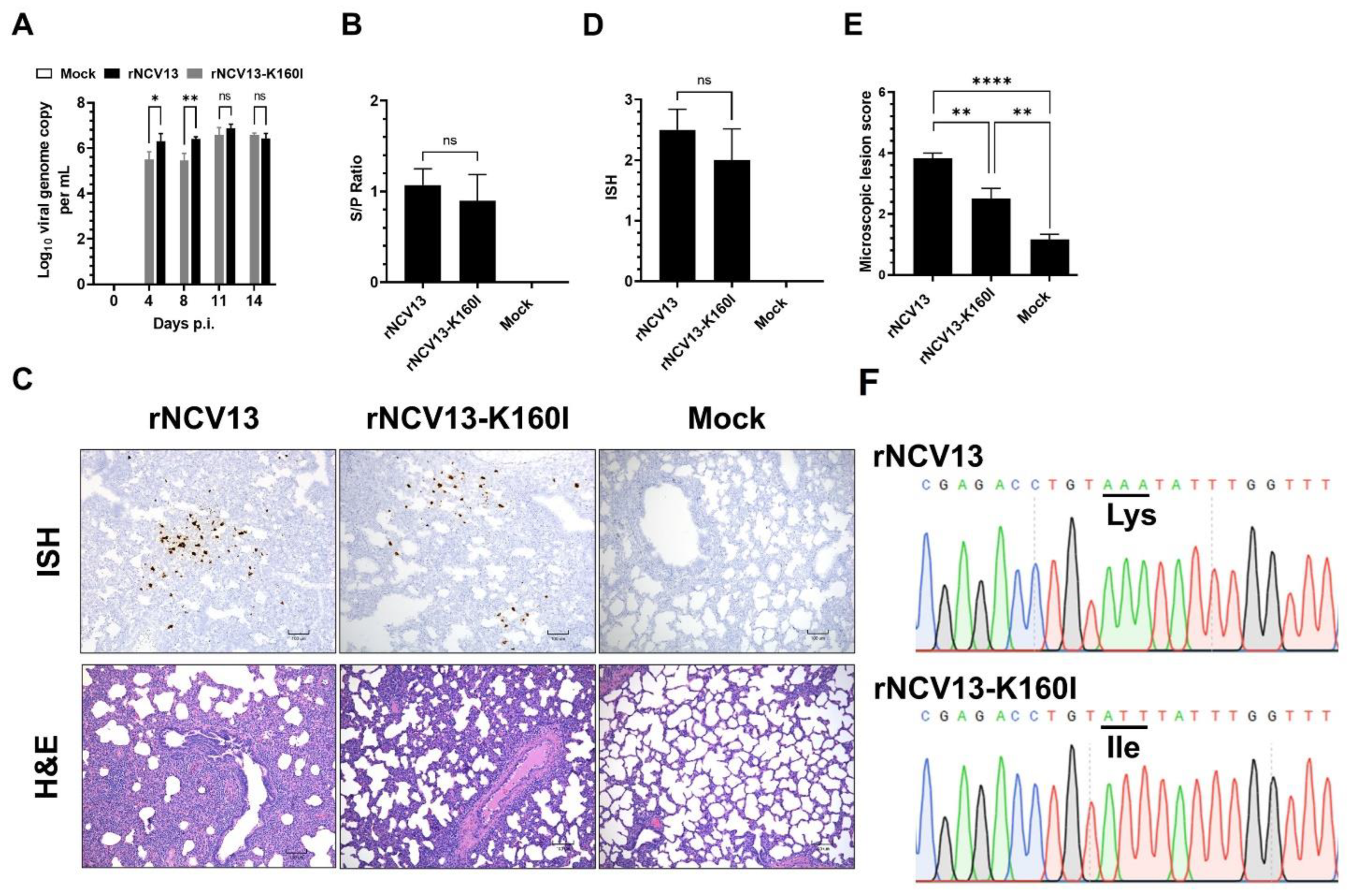 Viruses 14 02822 g010