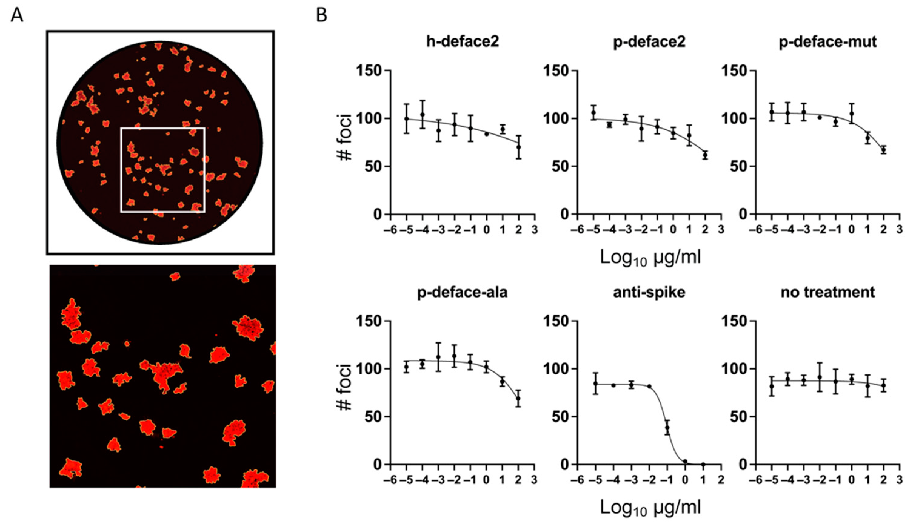Viruses 14 02823 g004 Viruses 14 02823 g004