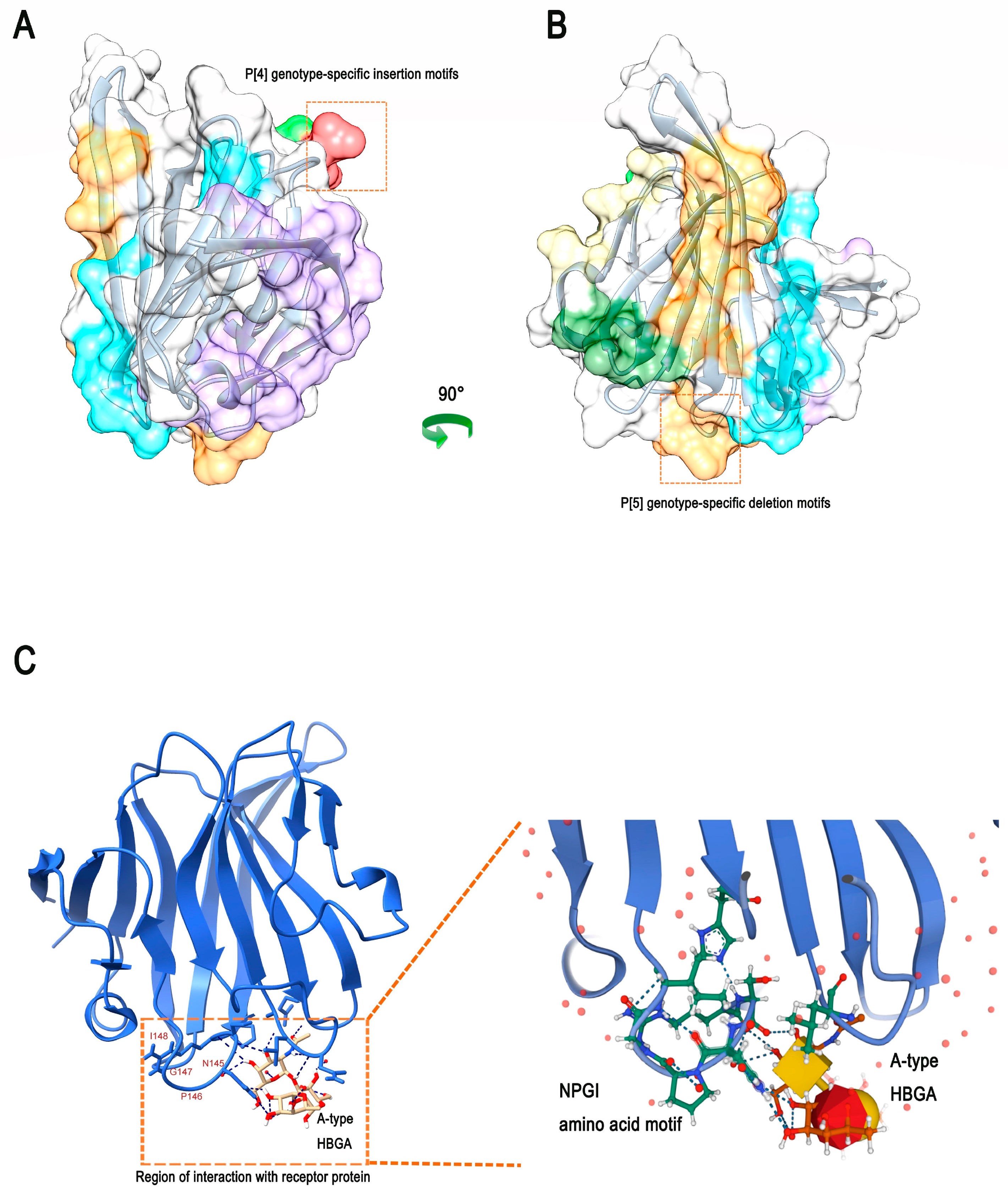 Viruses 14 02826 g005