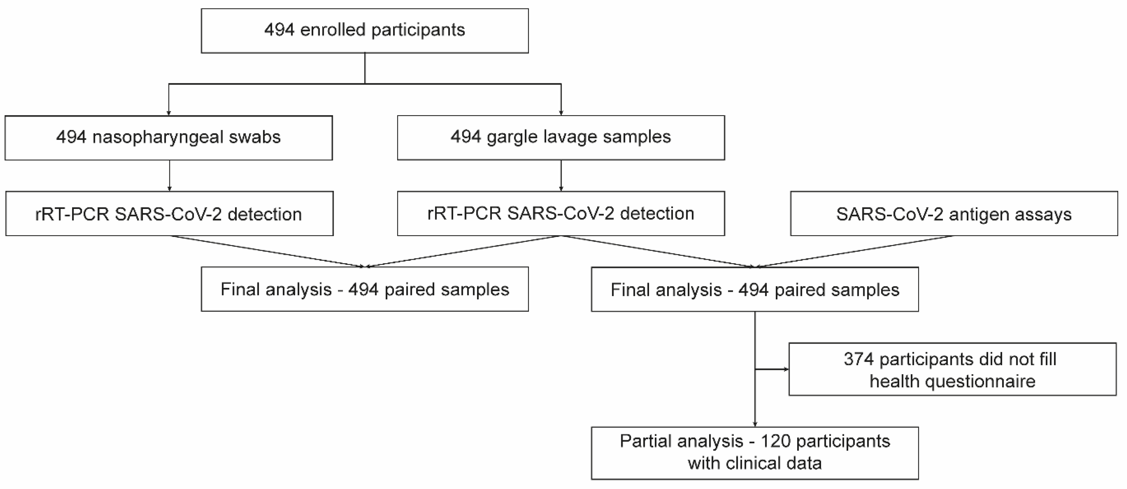 Viruses 14 02829 g001 Viruses 14 02829 g001