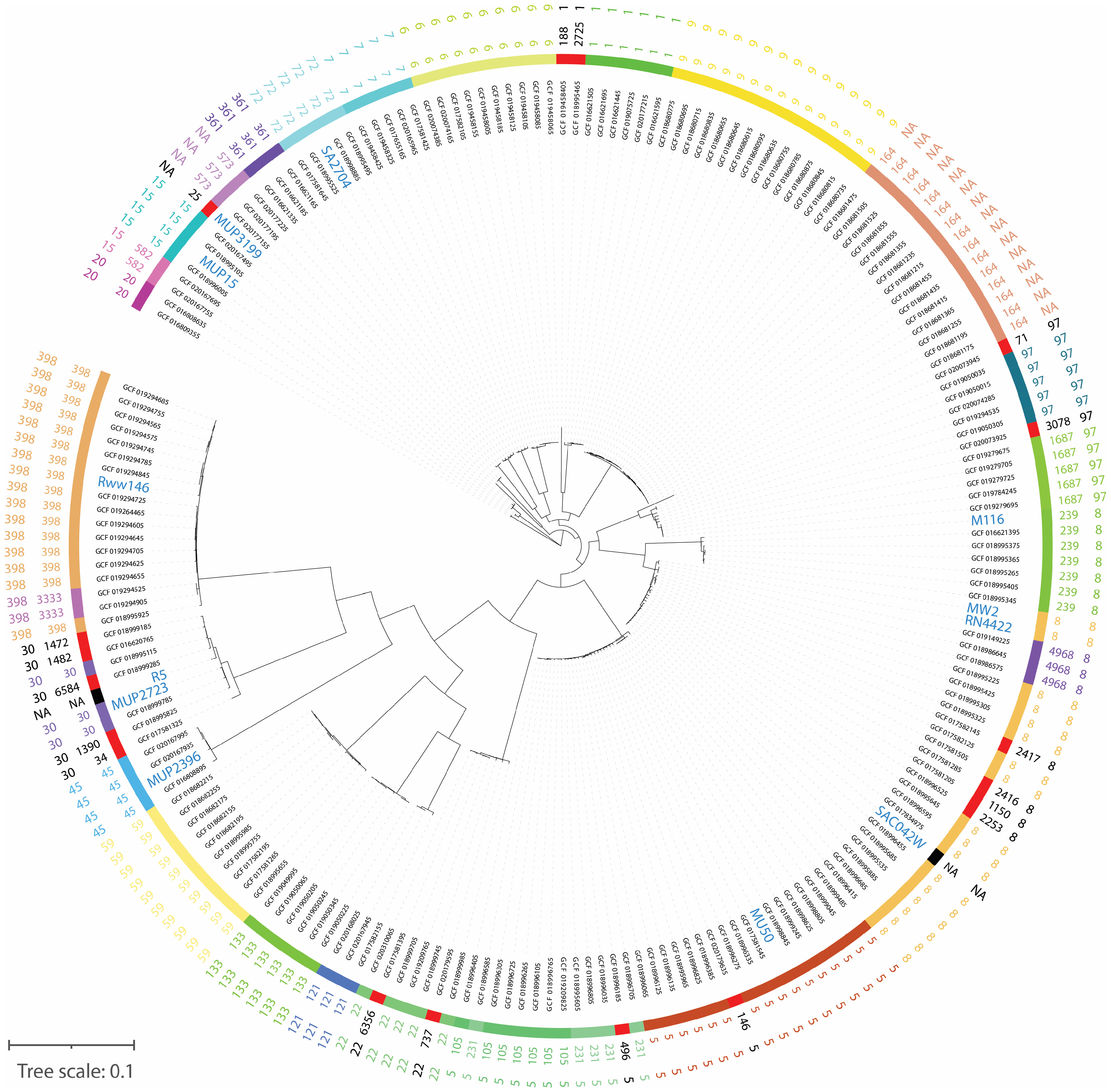 Viruses 15 00014 g001 Viruses 15 00014 g001