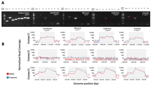 Viruses 15 00025 i001