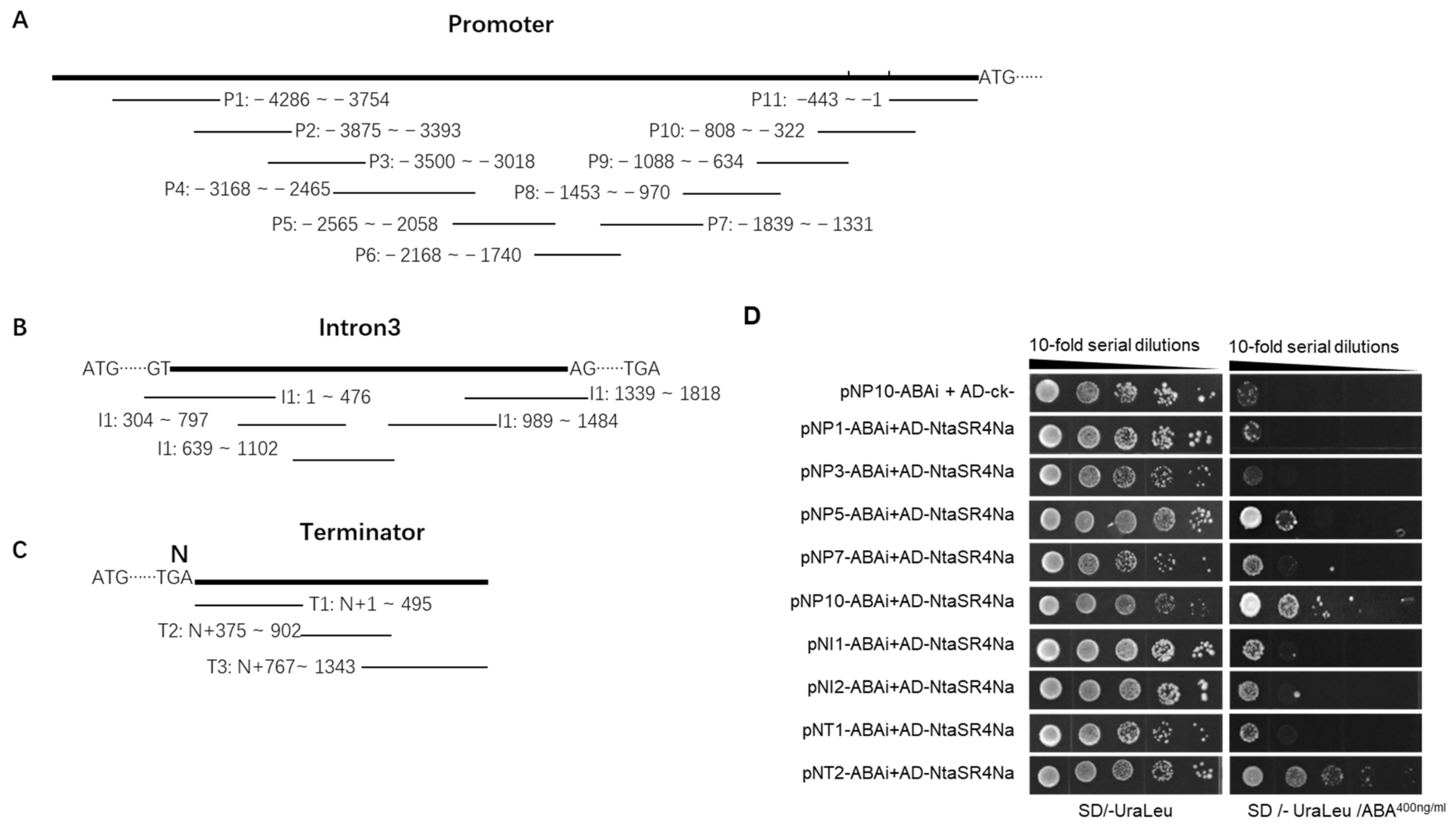 Viruses 15 00026 g001 Viruses 15 00026 g001
