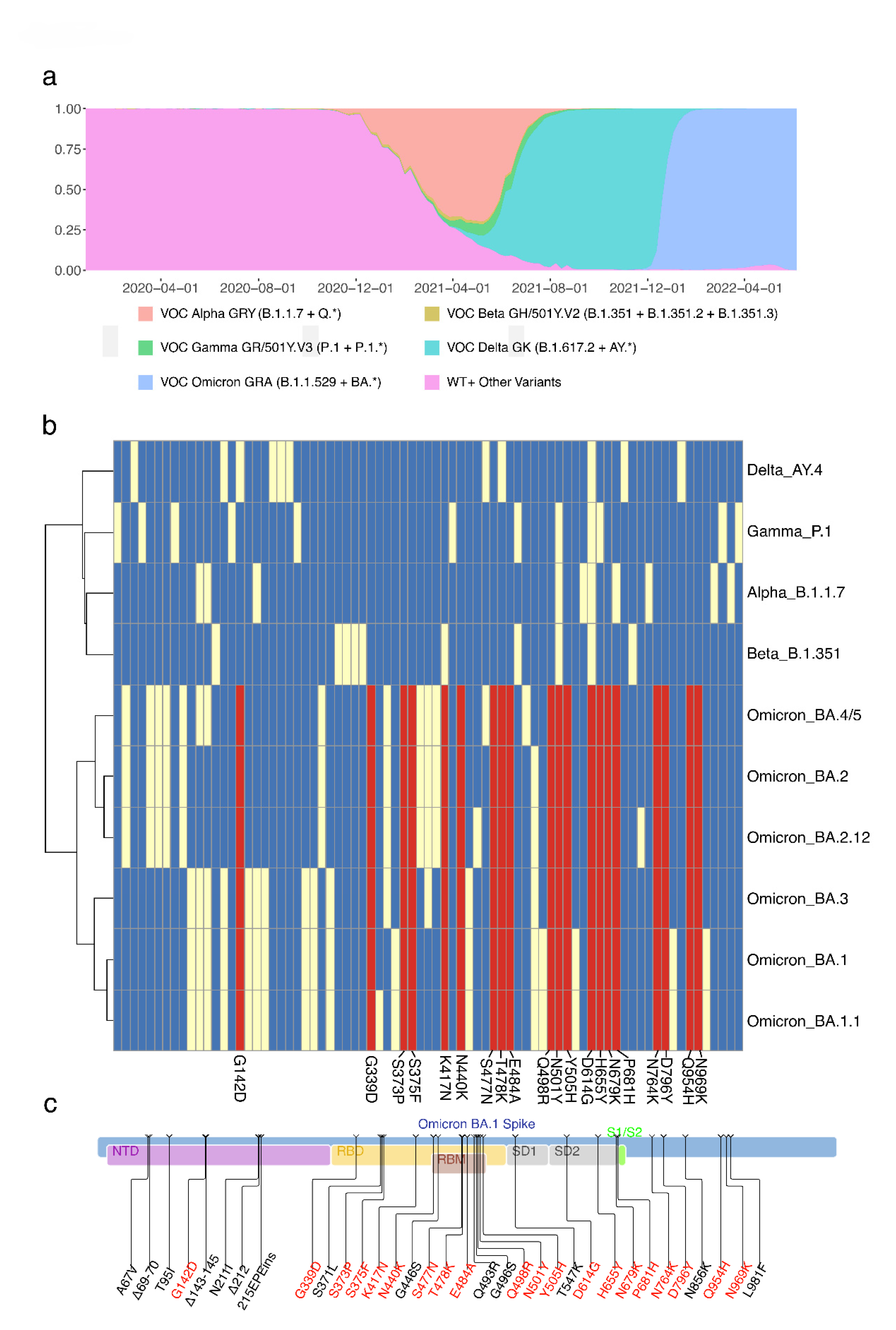 Viruses 15 00030 g001