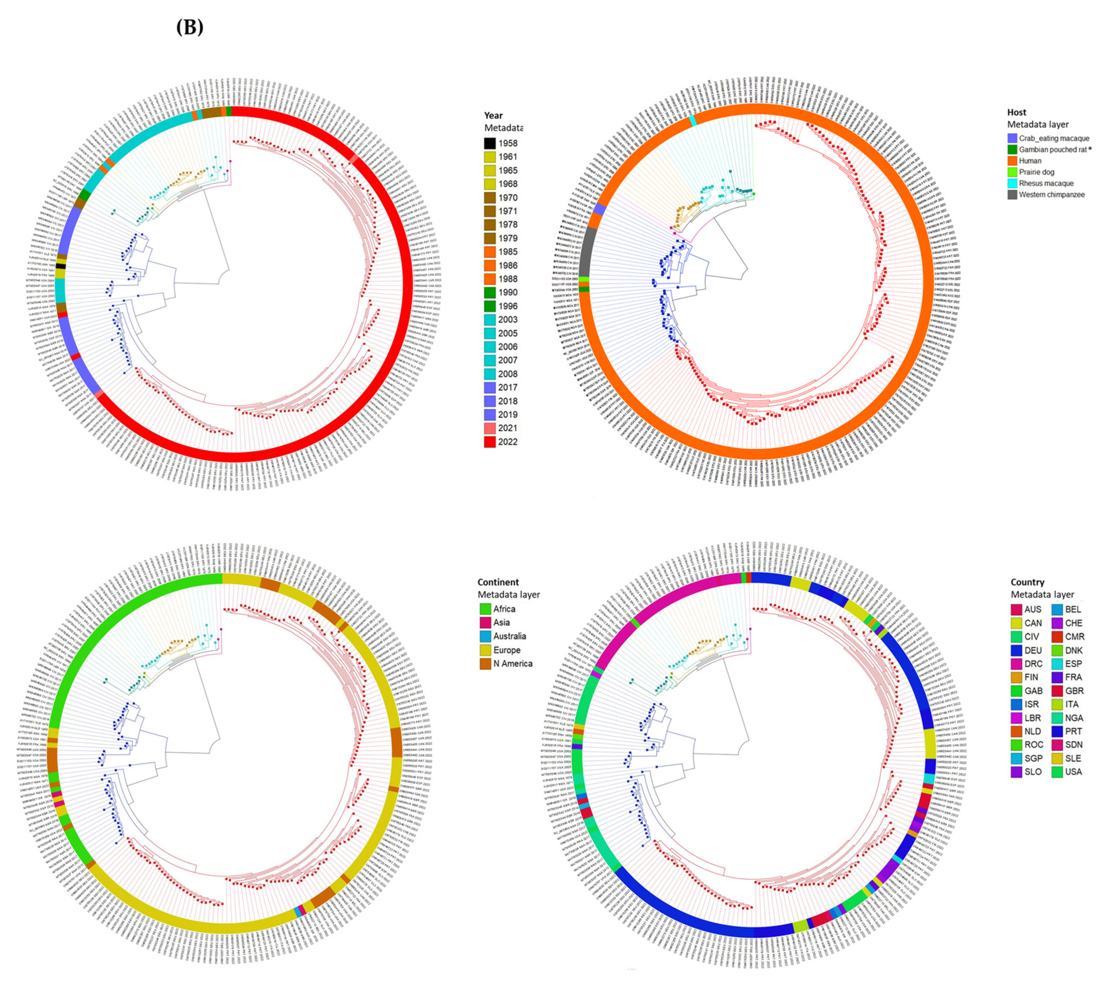 Viruses 15 00040 g004b Viruses 15 00040 g004b