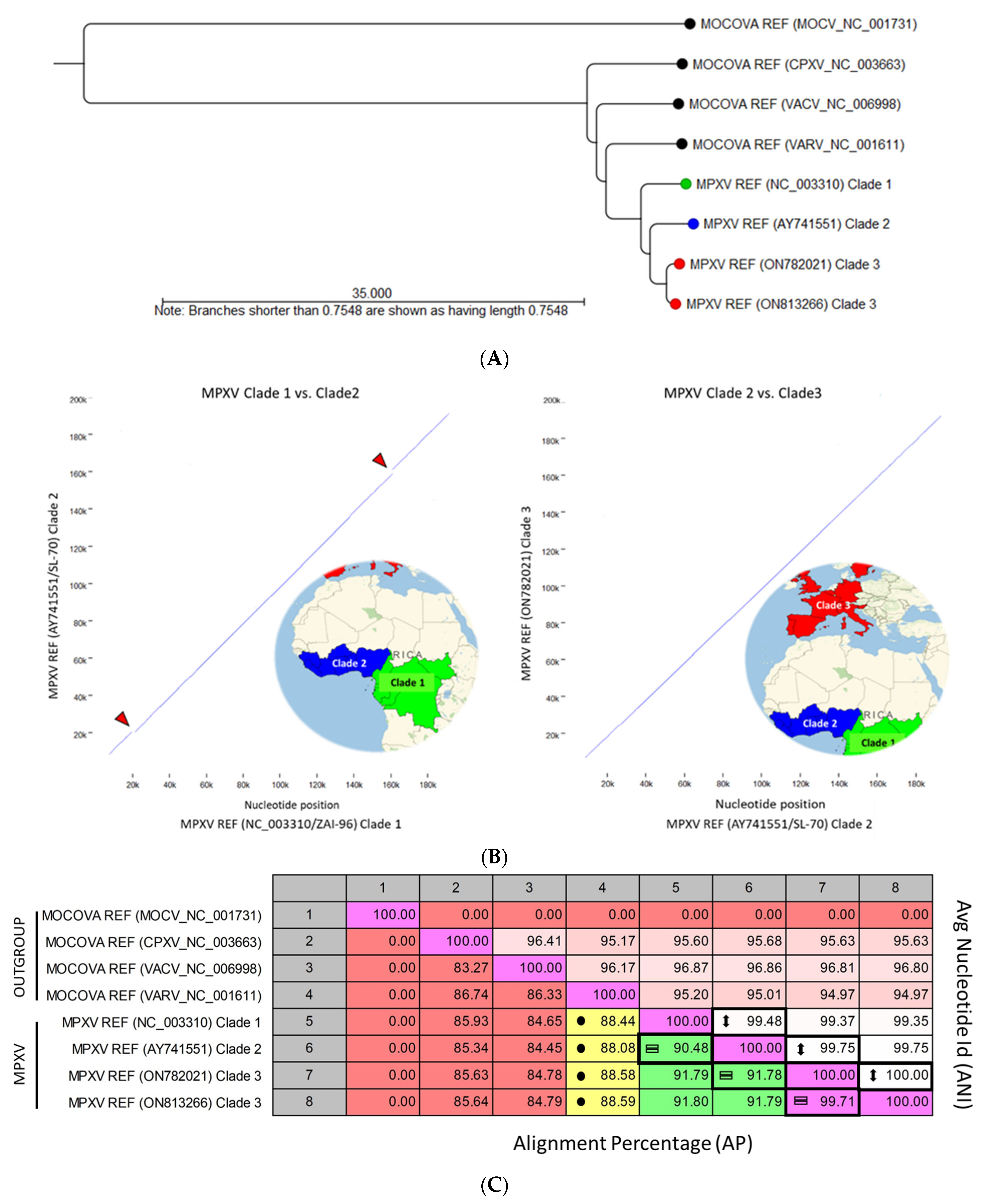 Viruses 15 00040 g005 Viruses 15 00040 g005