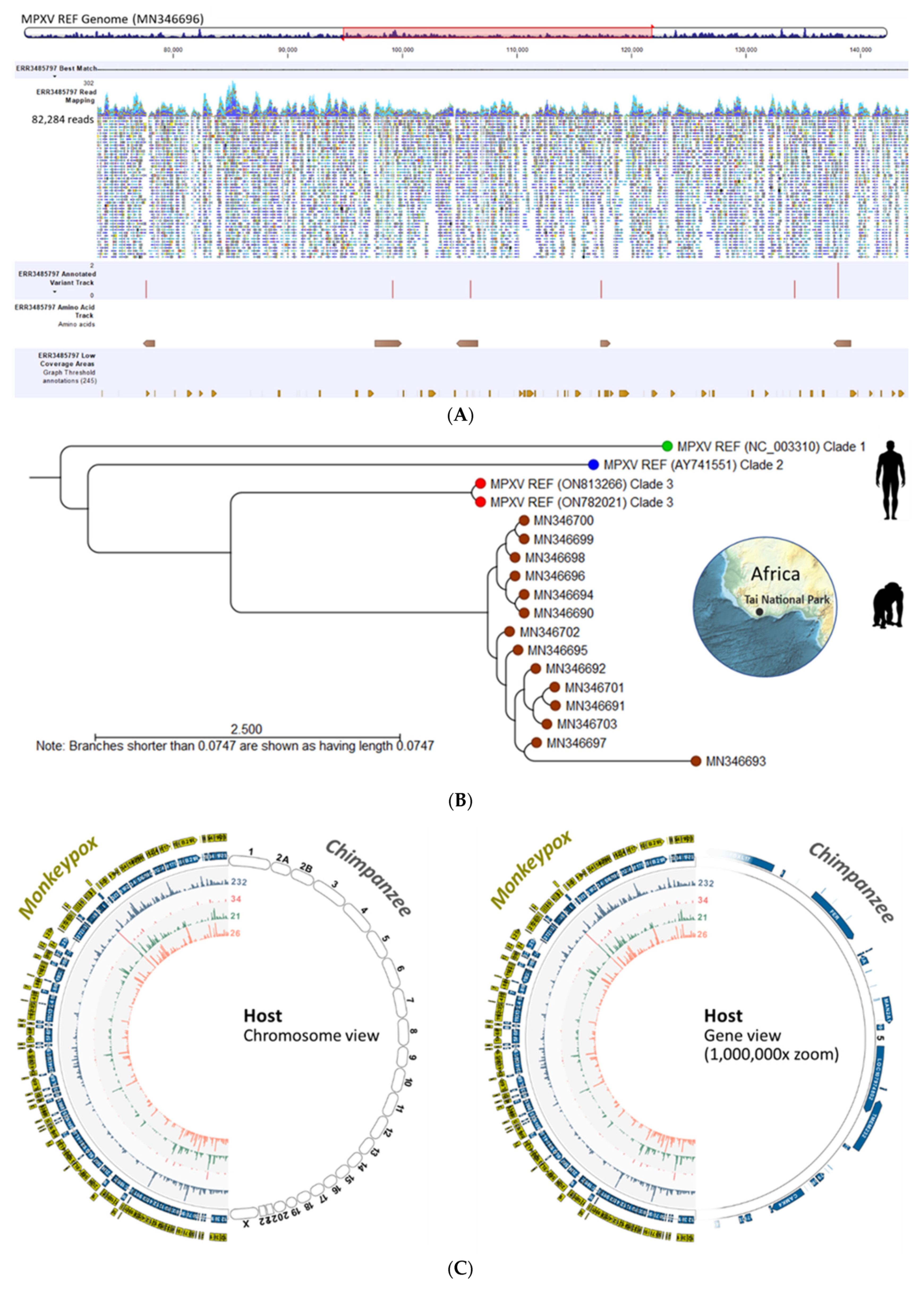 Viruses 15 00040 g006 Viruses 15 00040 g006