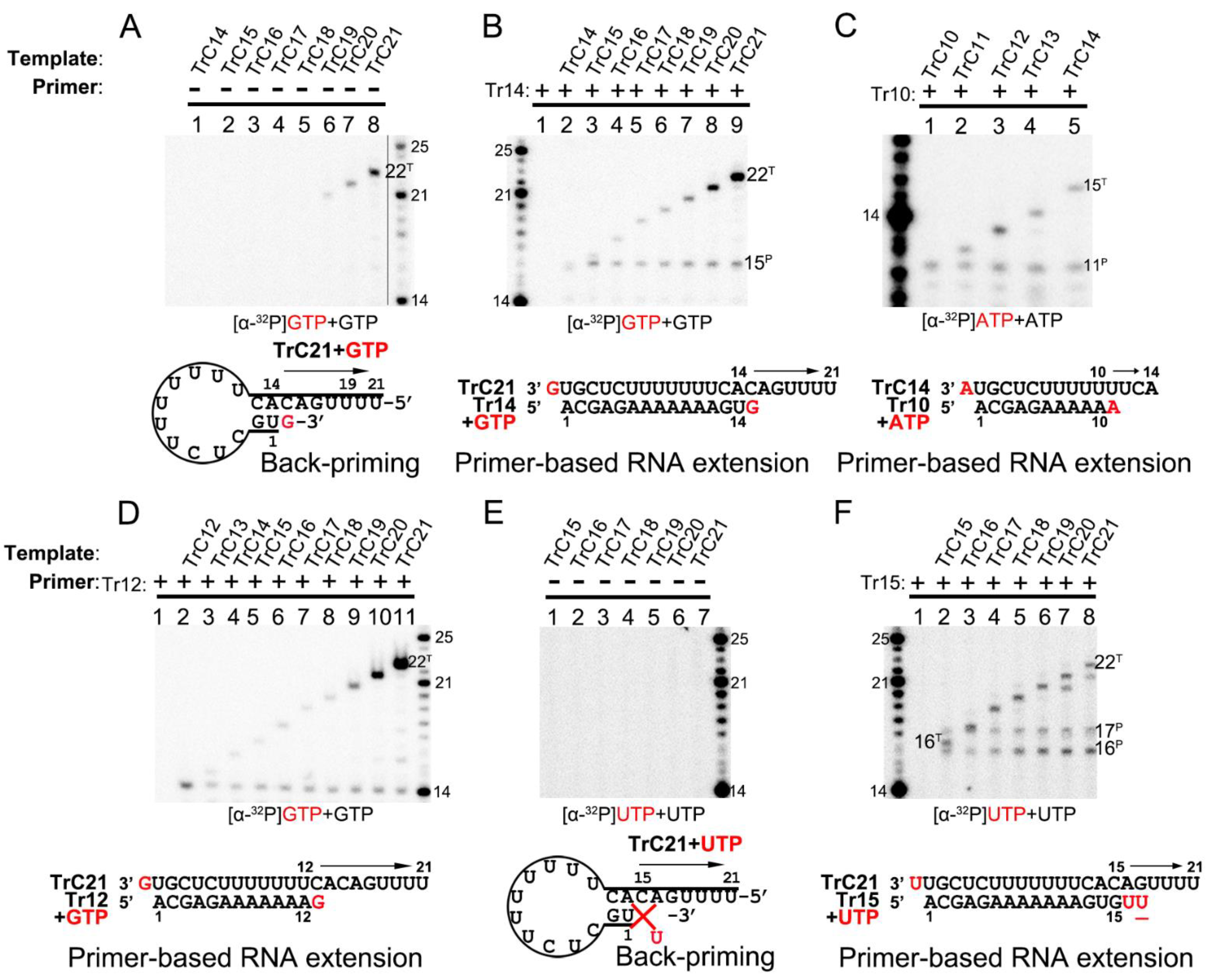 Viruses 15 00047 g004