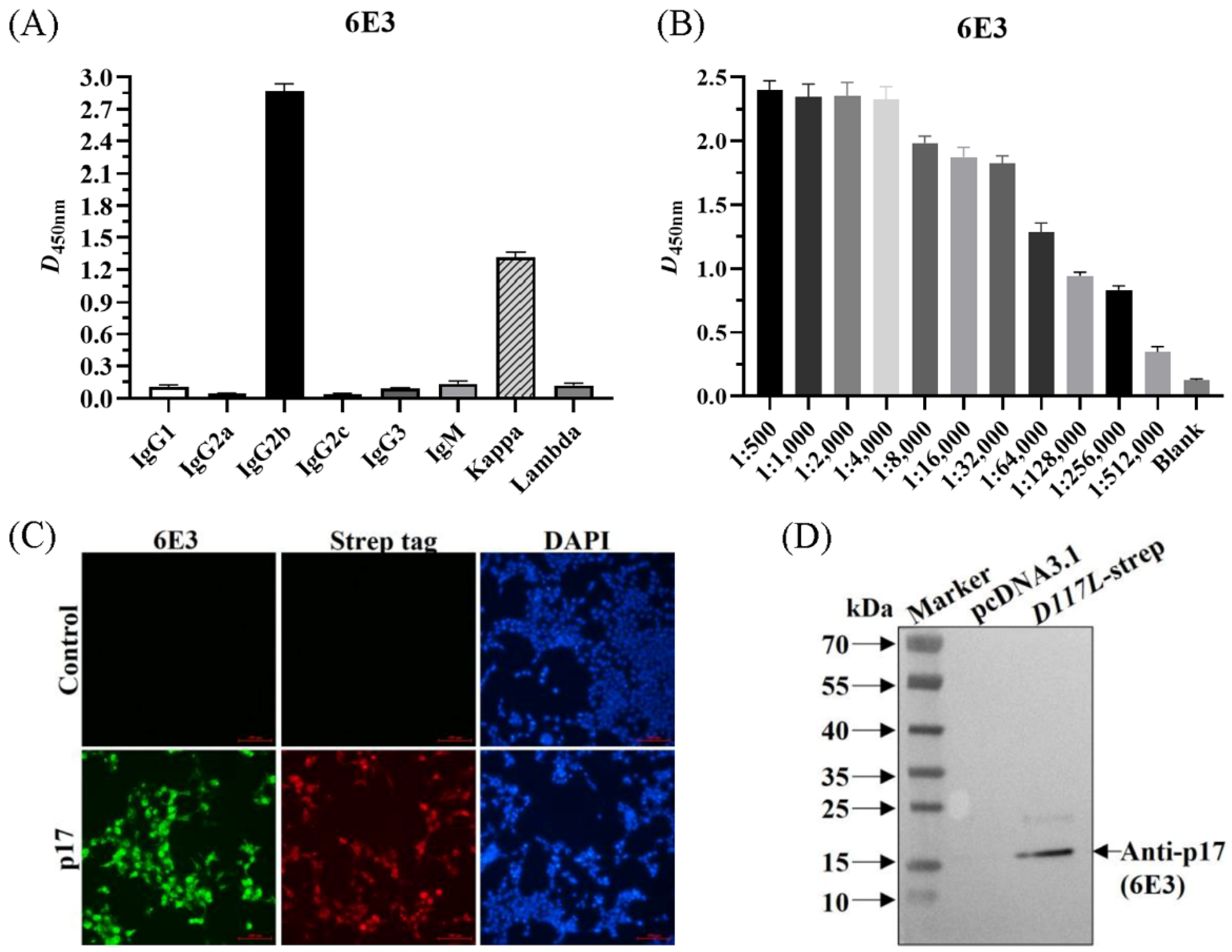 Viruses 15 00050 g002