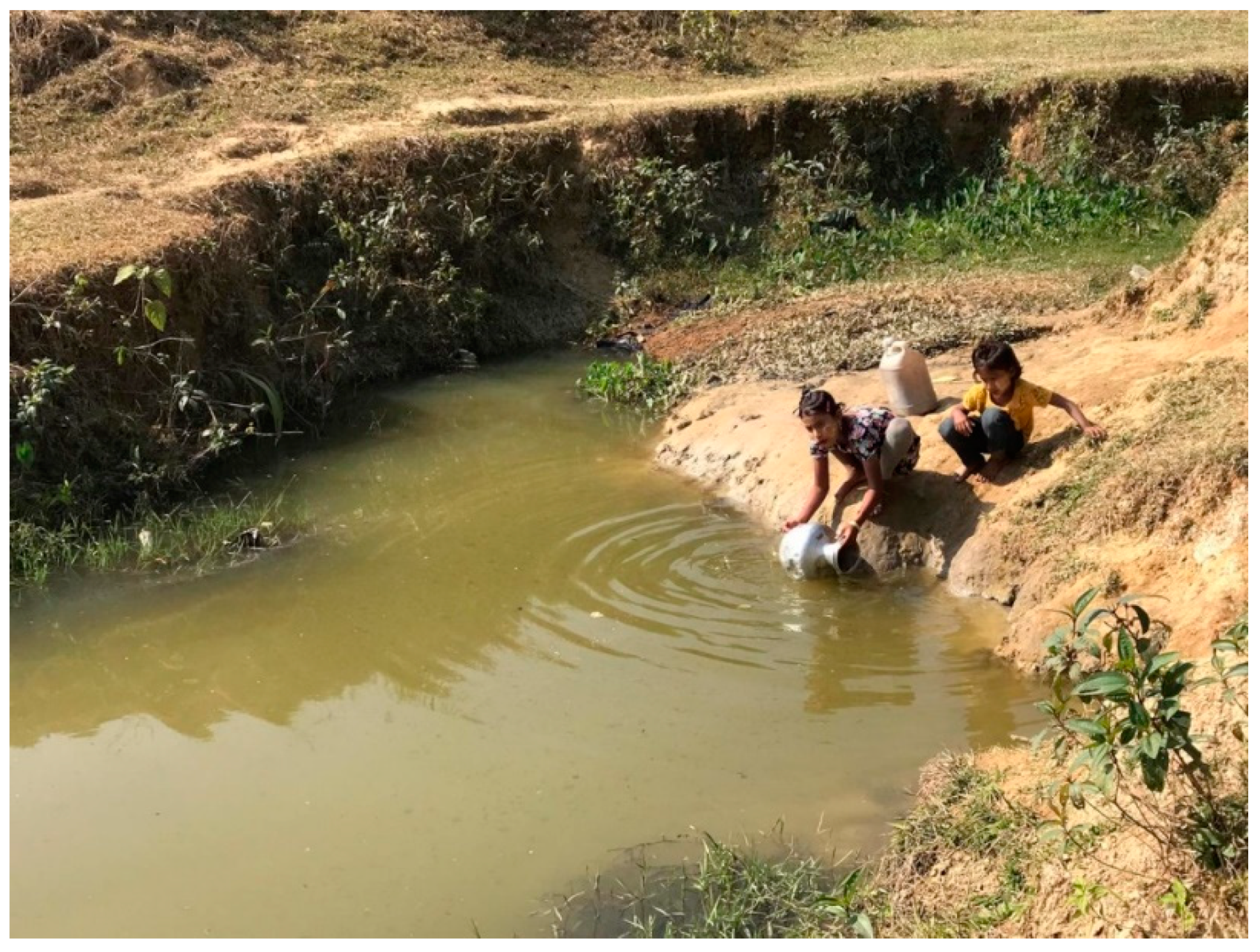 Viruses 15 00063 g002 Viruses 15 00063 g002