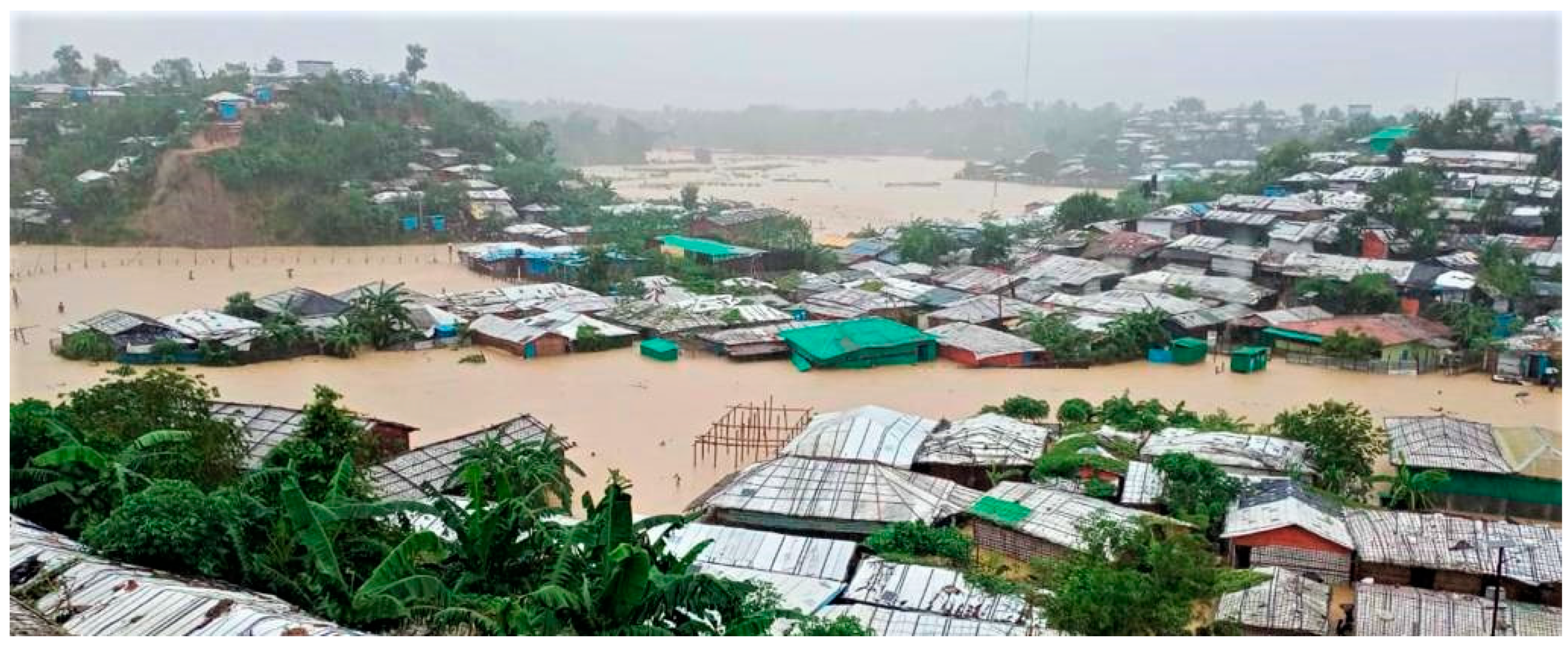 Viruses 15 00063 g003 Viruses 15 00063 g003