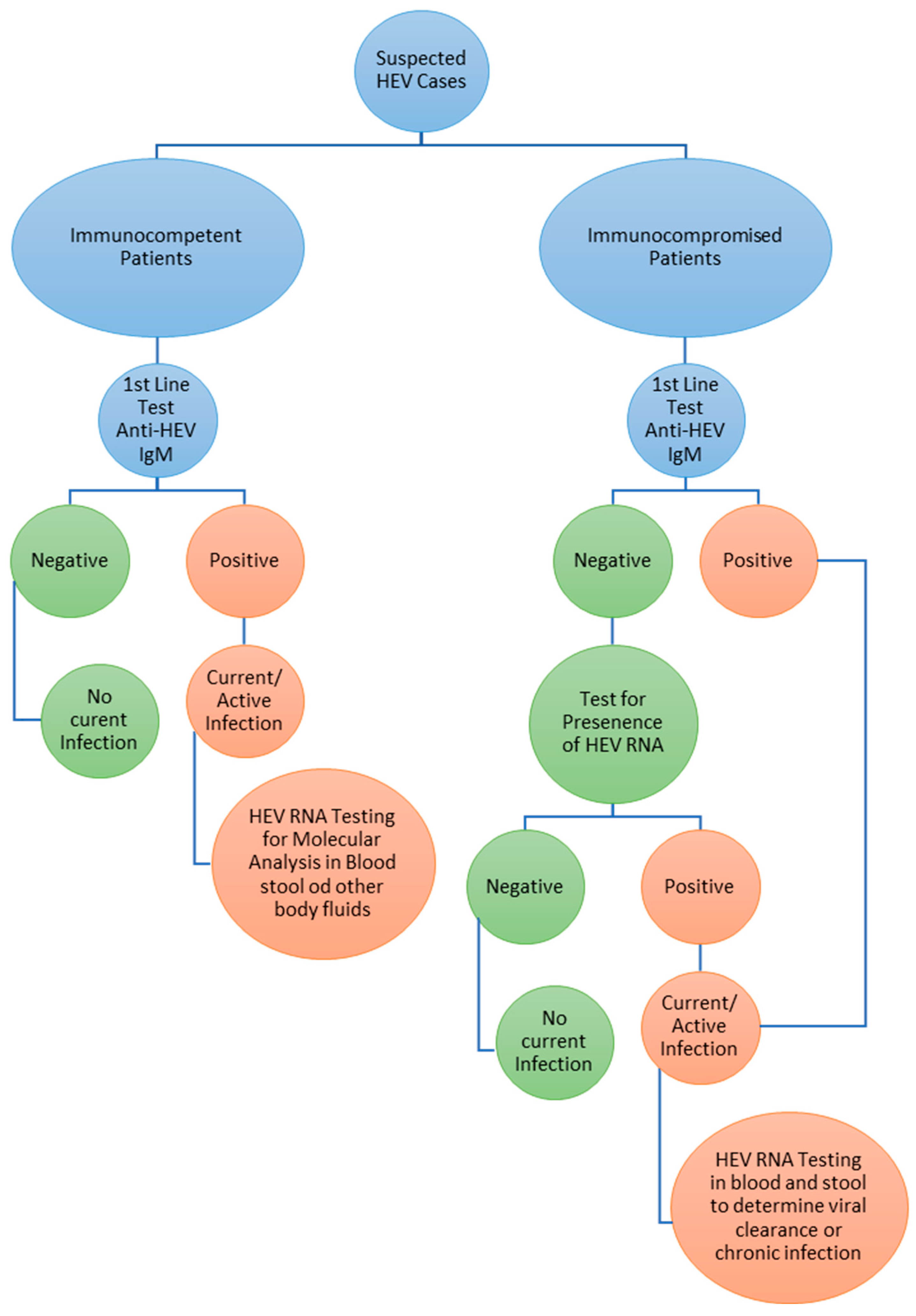 Viruses 15 00063 g005 Viruses 15 00063 g005