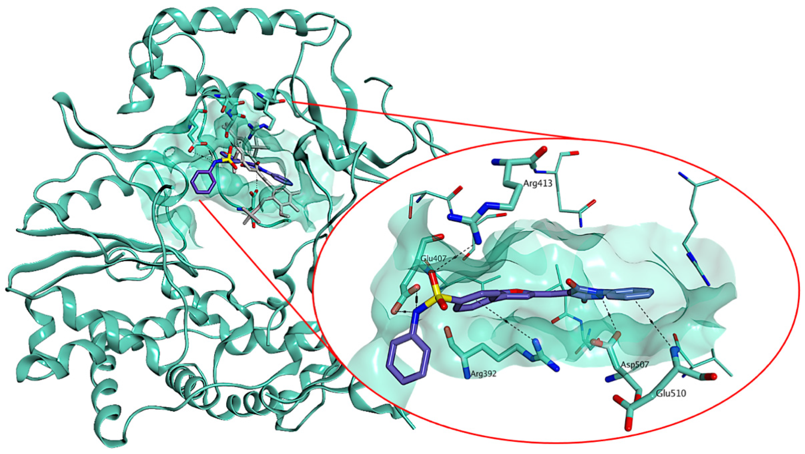 Viruses 15 00074 g004