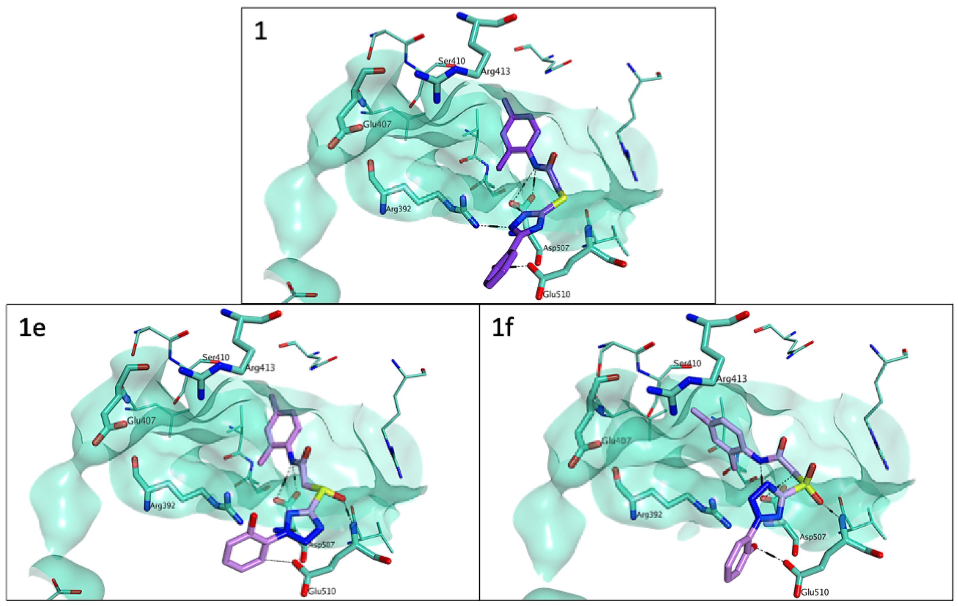 Viruses 15 00074 g005