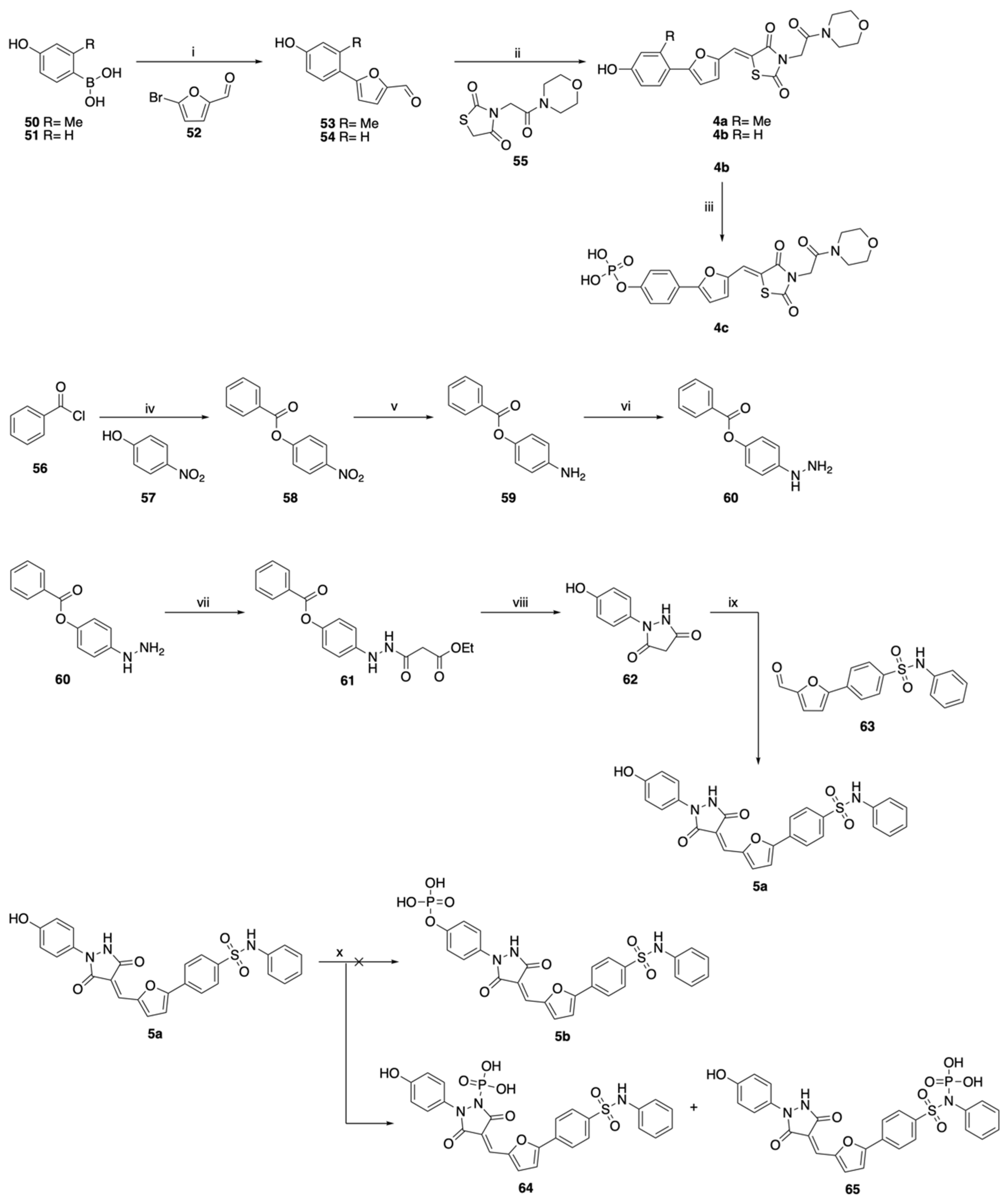 Viruses 15 00074 sch003