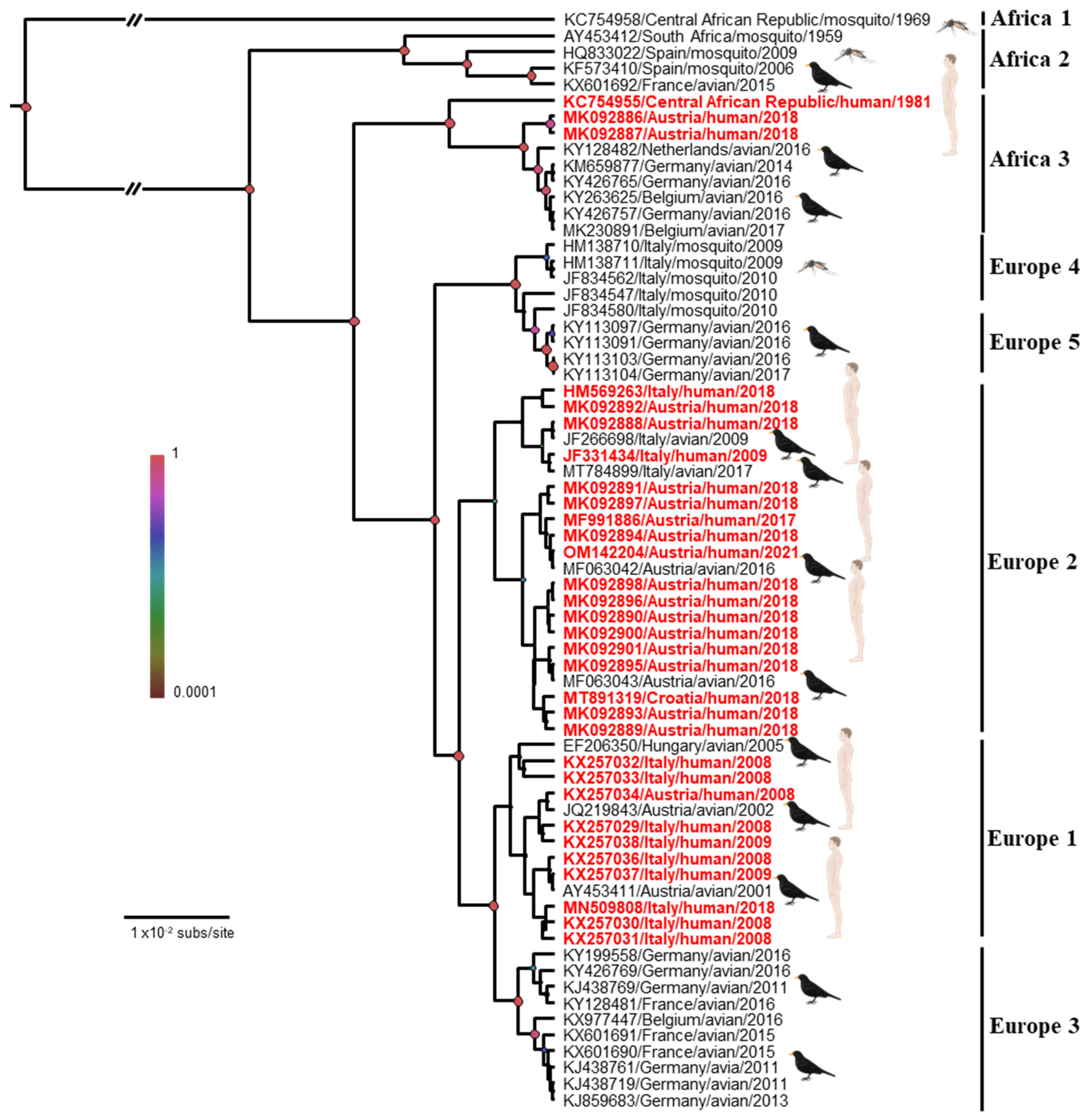 Viruses 15 00077 g002