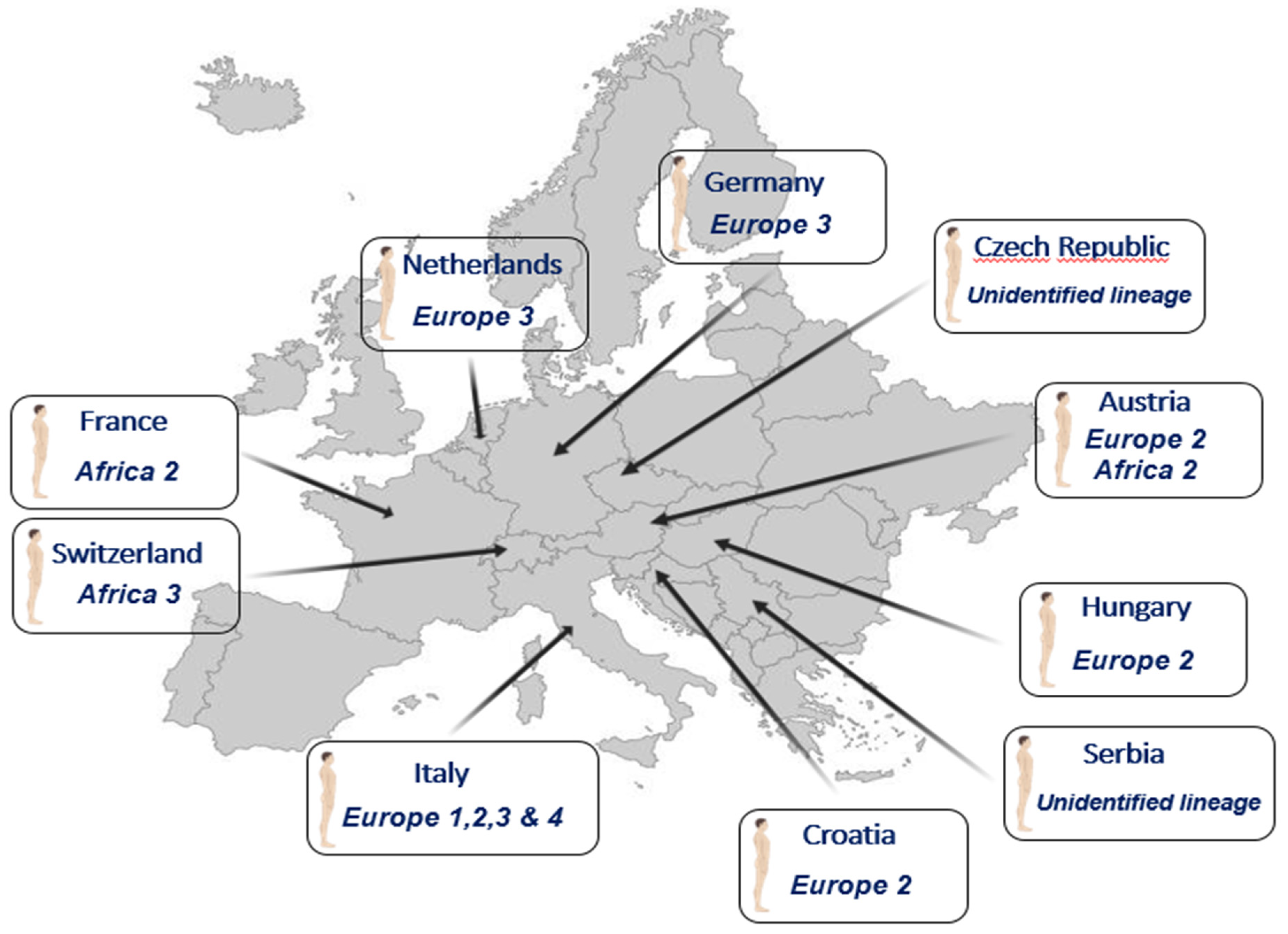 Viruses 15 00077 g003