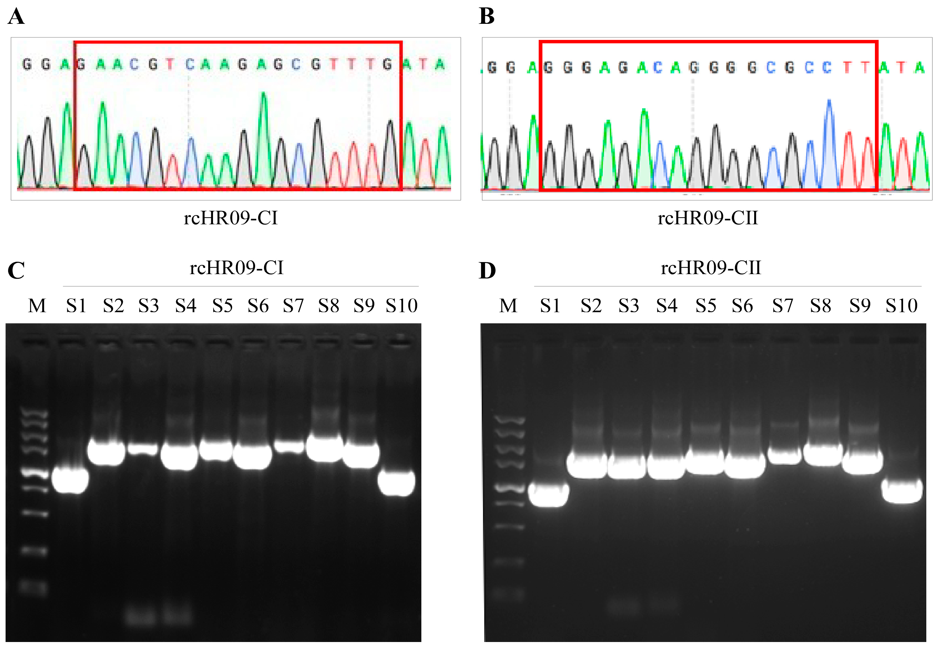 Viruses 15 00082 g002