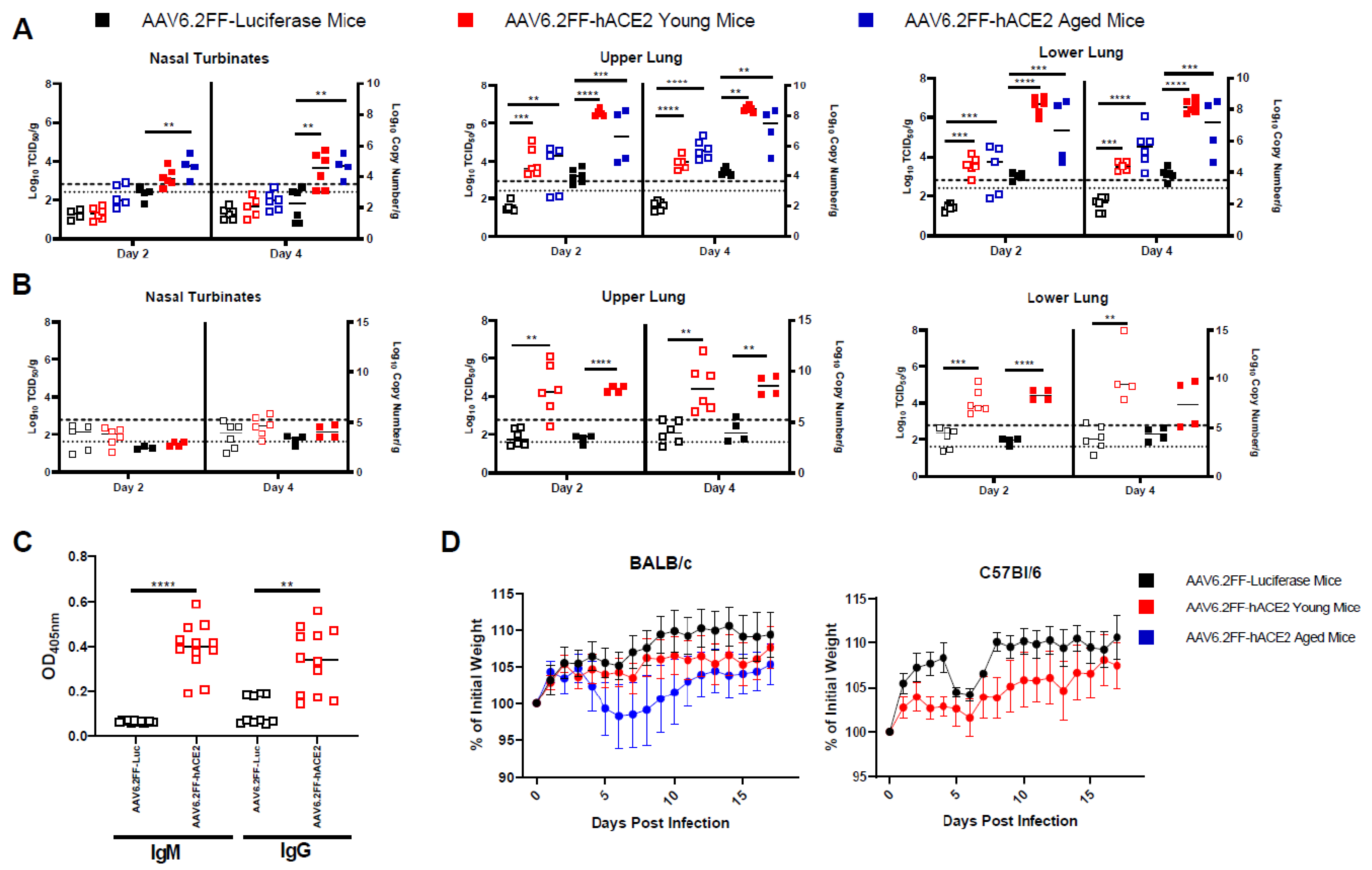 Viruses 15 00085 g002