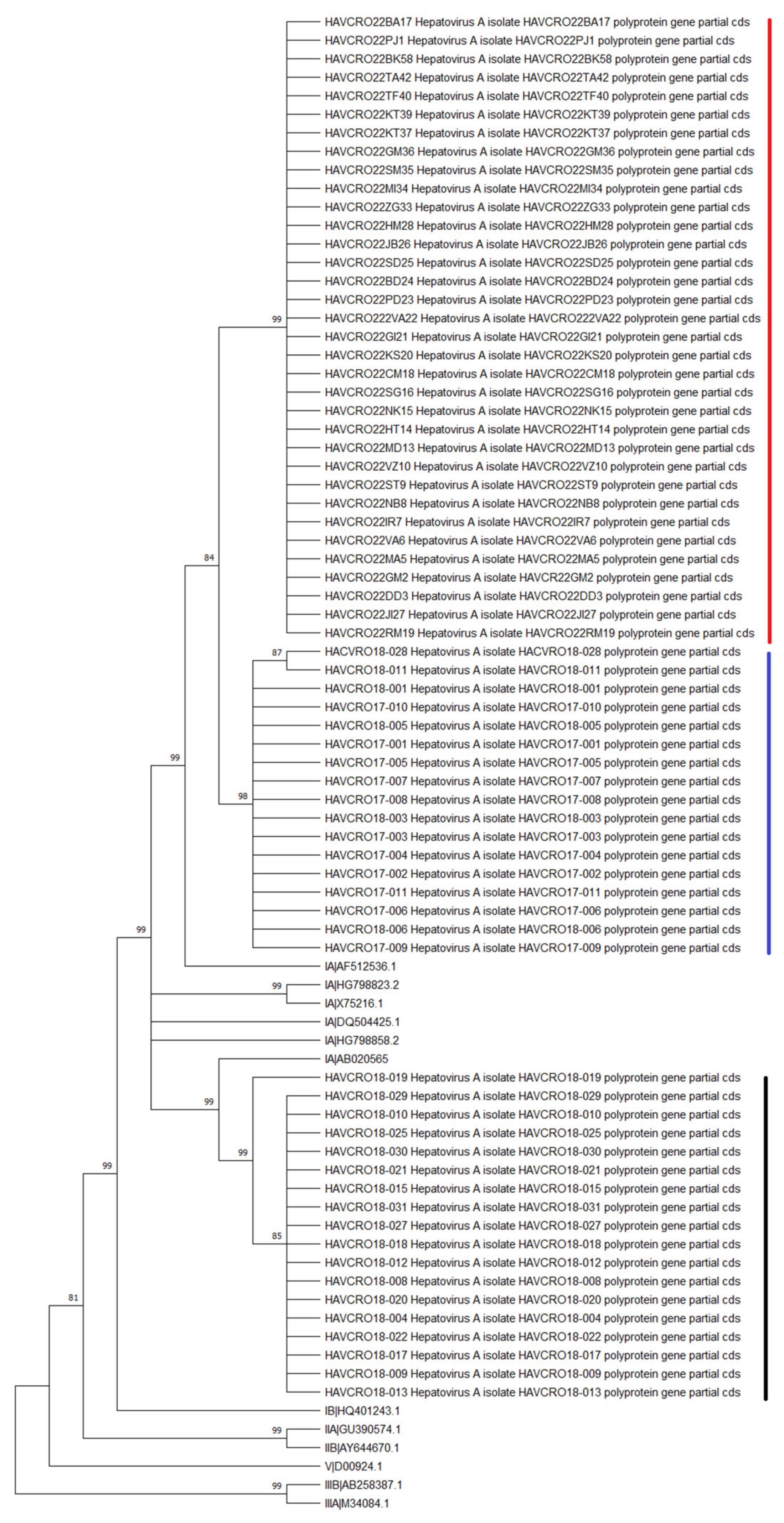 Viruses 15 00087 g003 Viruses 15 00087 g003