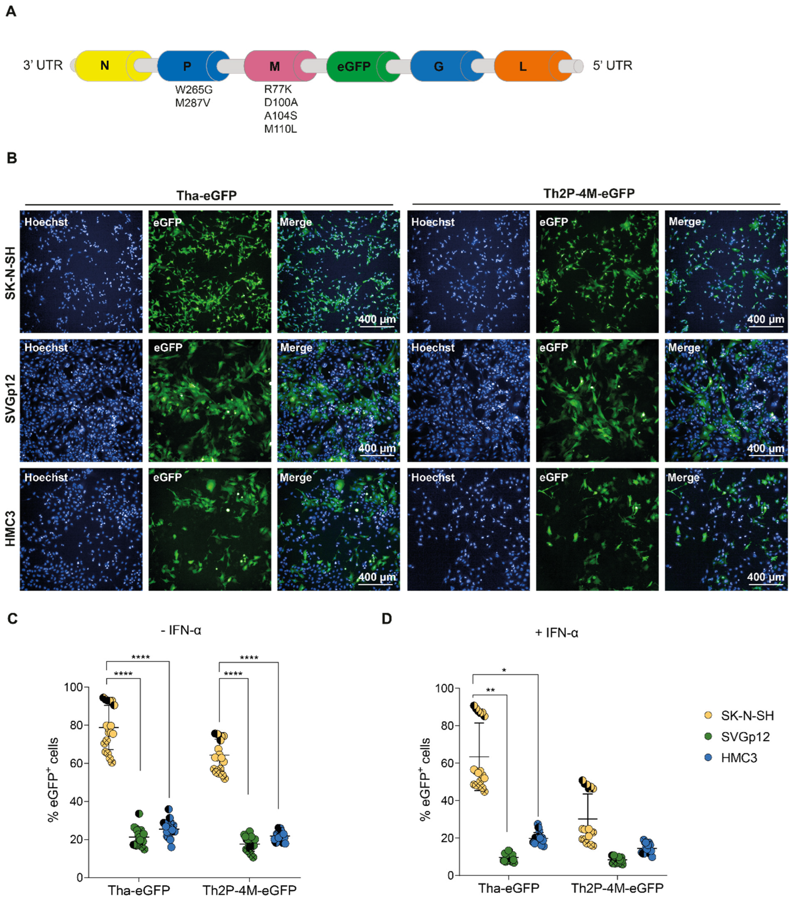 Viruses 15 00088 g001