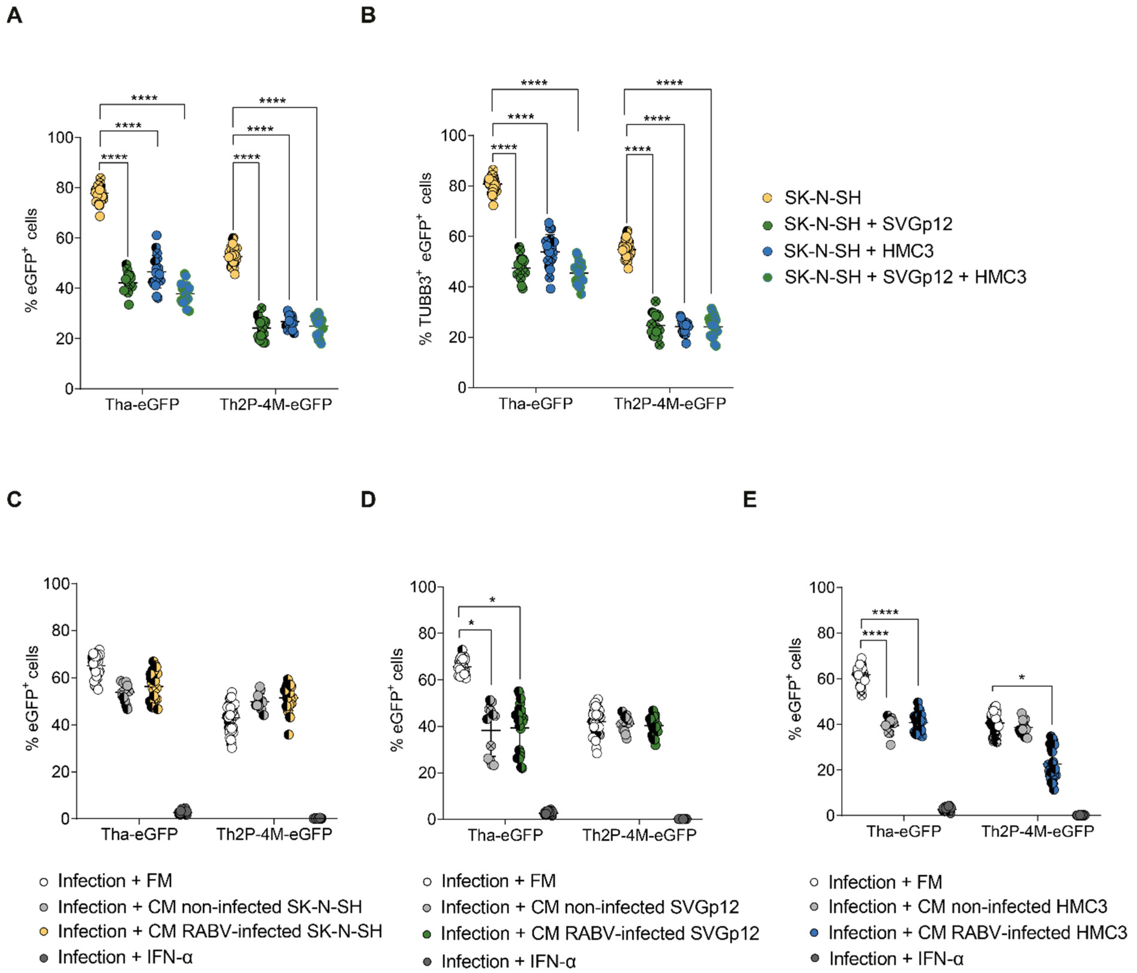 Viruses 15 00088 g005