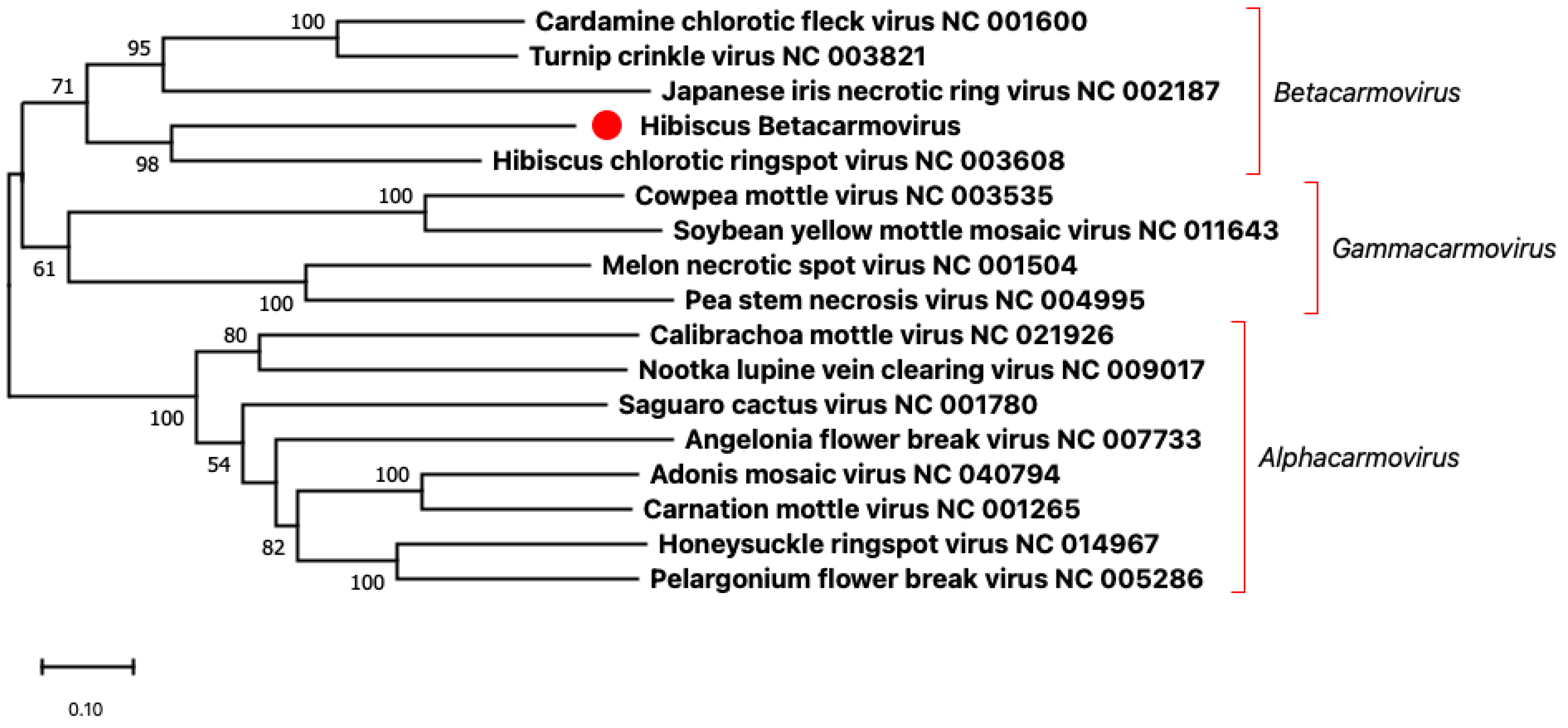 Viruses 15 00090 g002