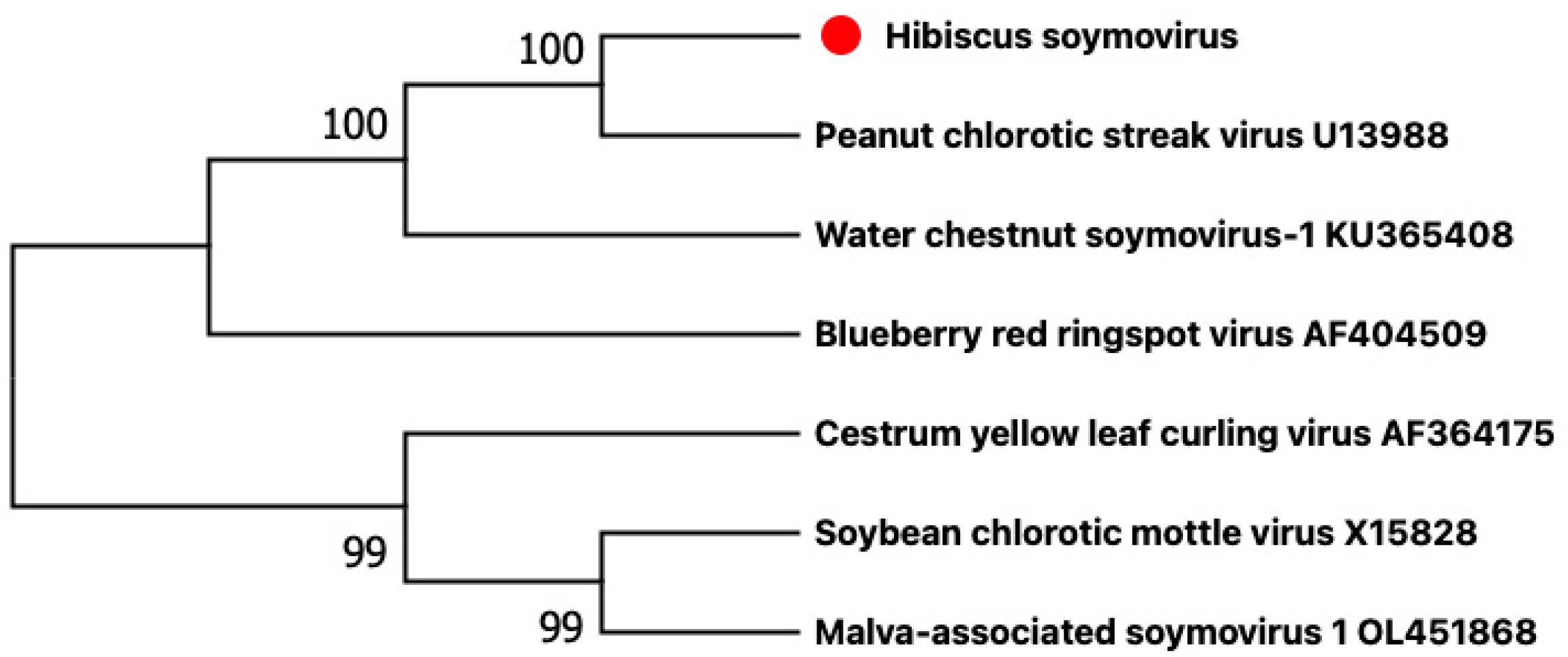 Viruses 15 00090 g003