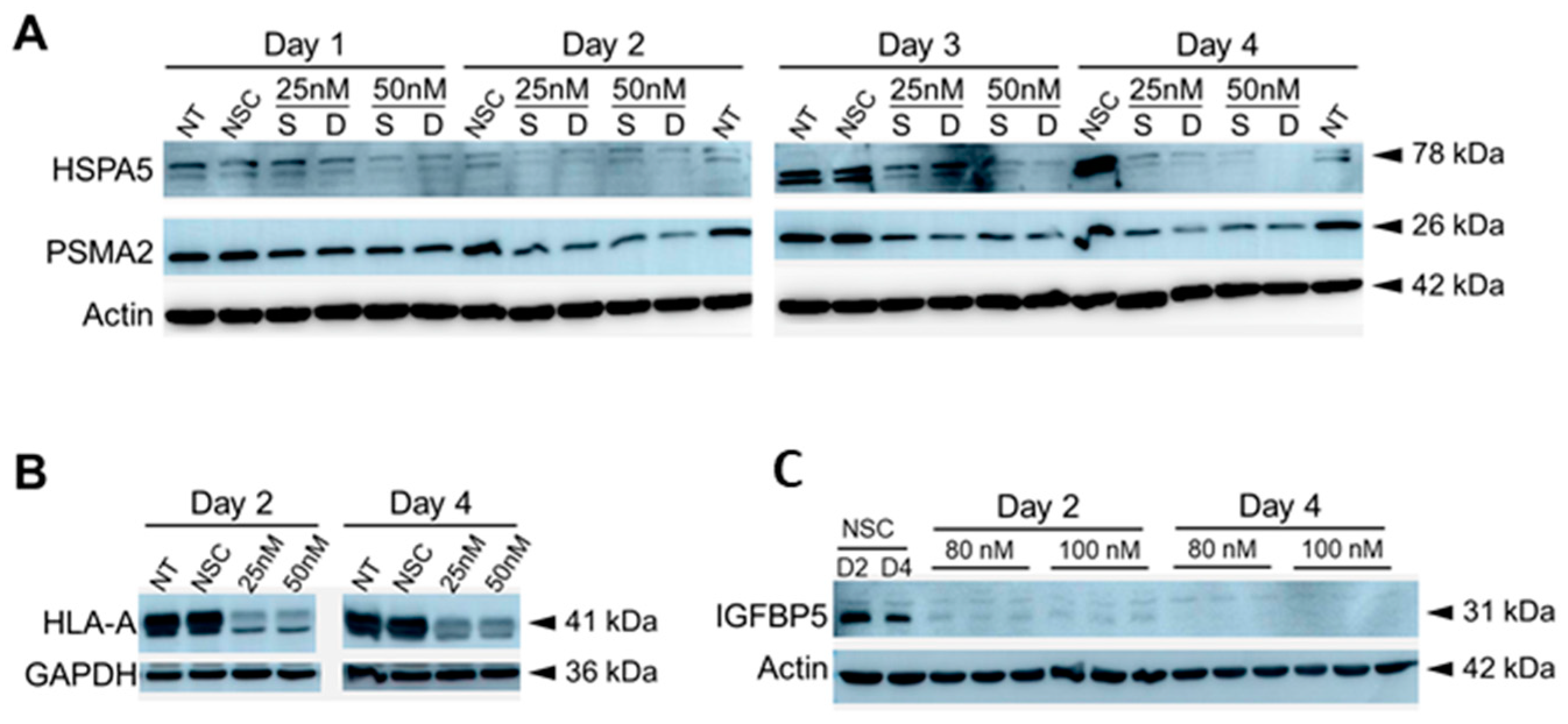 Viruses 15 00097 g007
