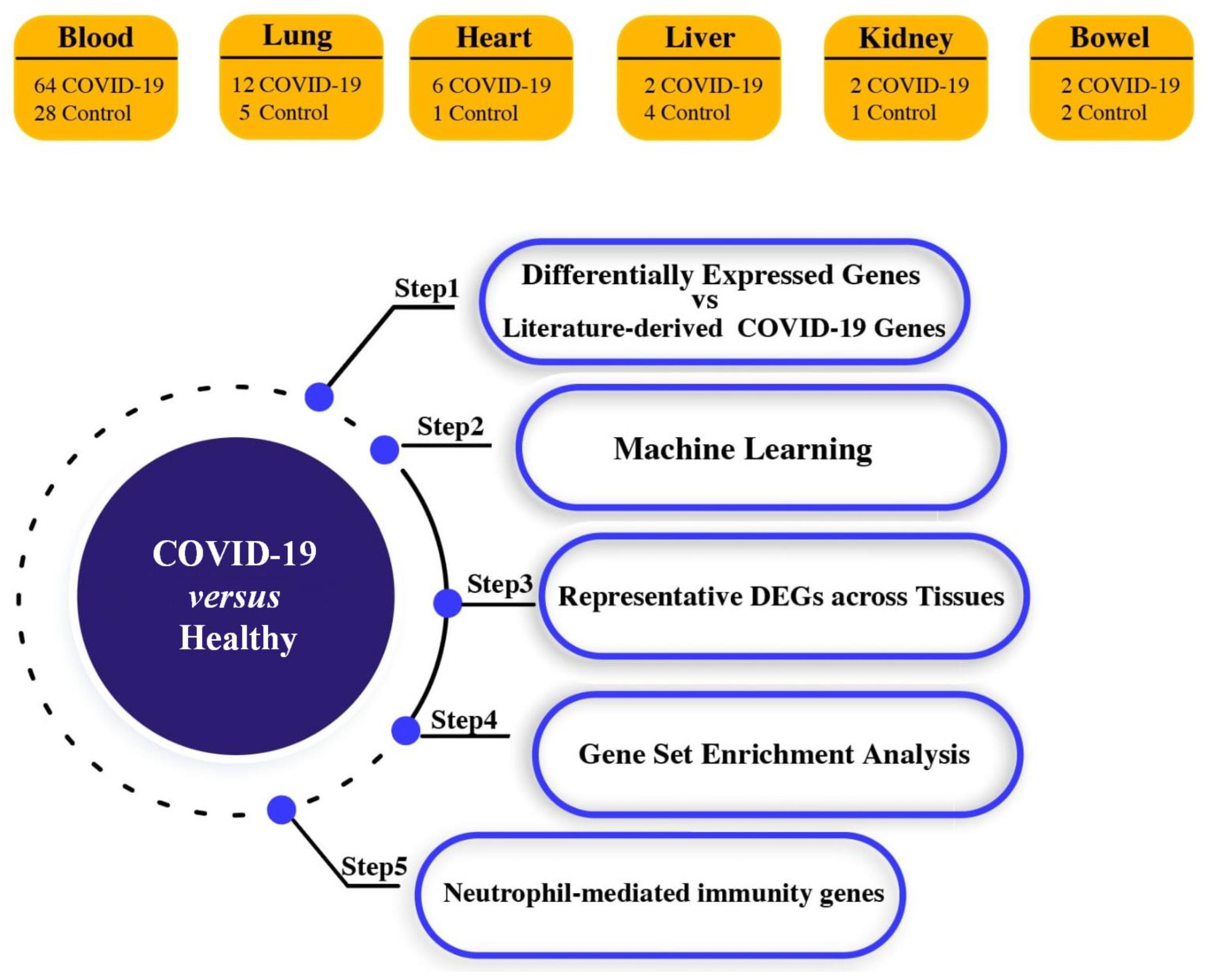 Viruses 15 00104 g001