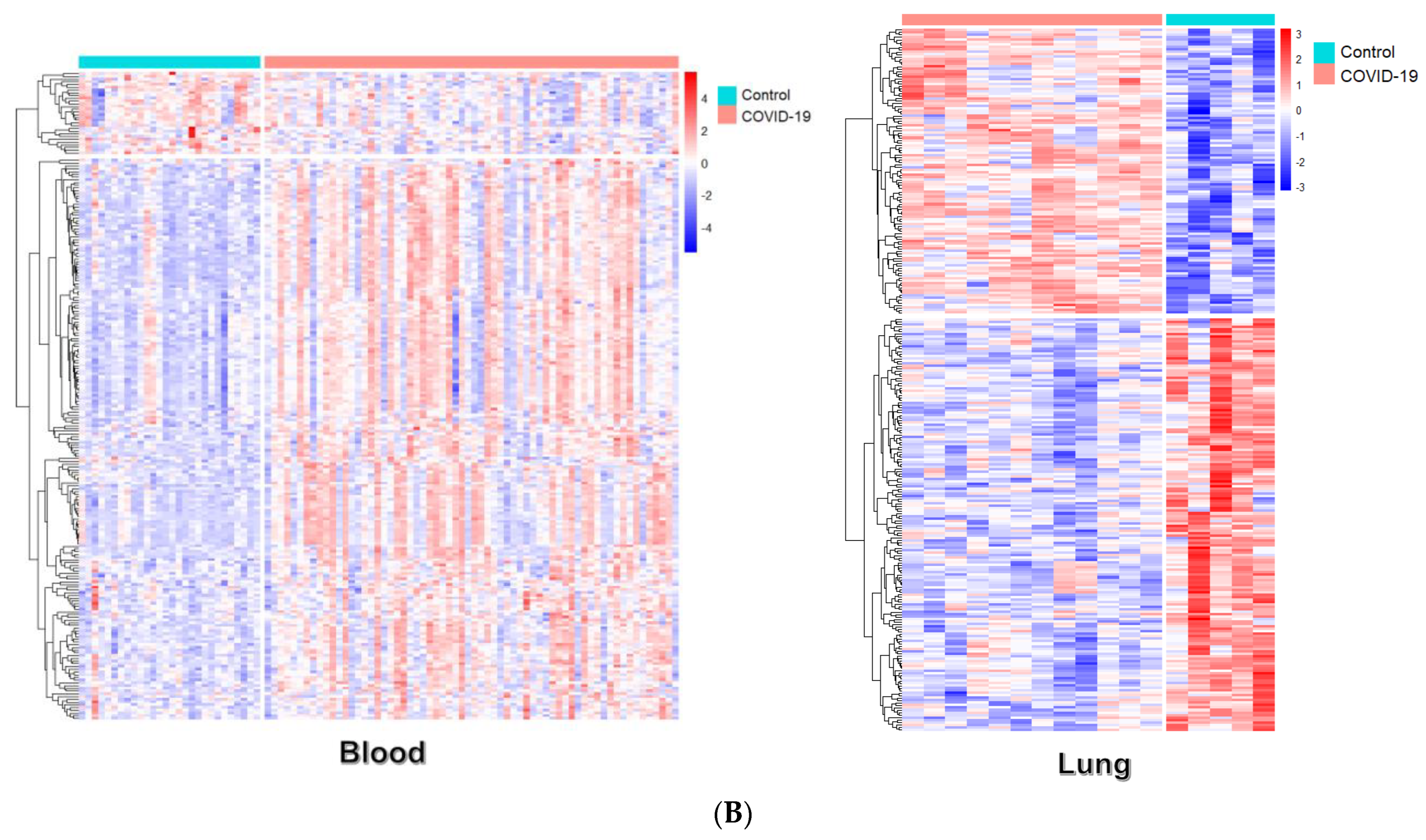Viruses 15 00104 g002b